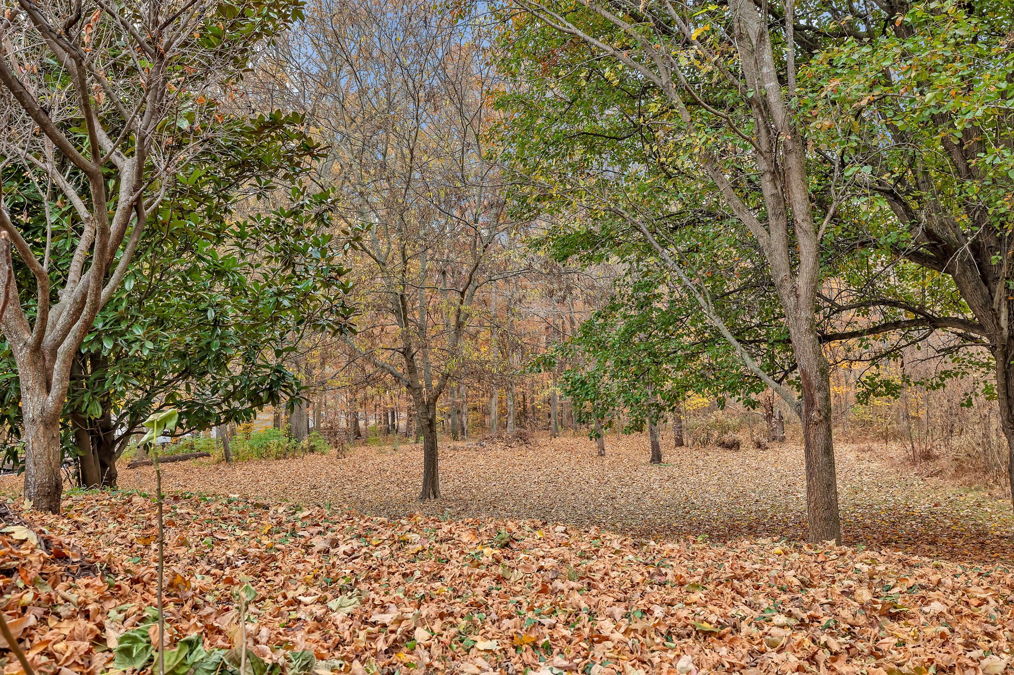 8255 Haley Rd Property Photo 38