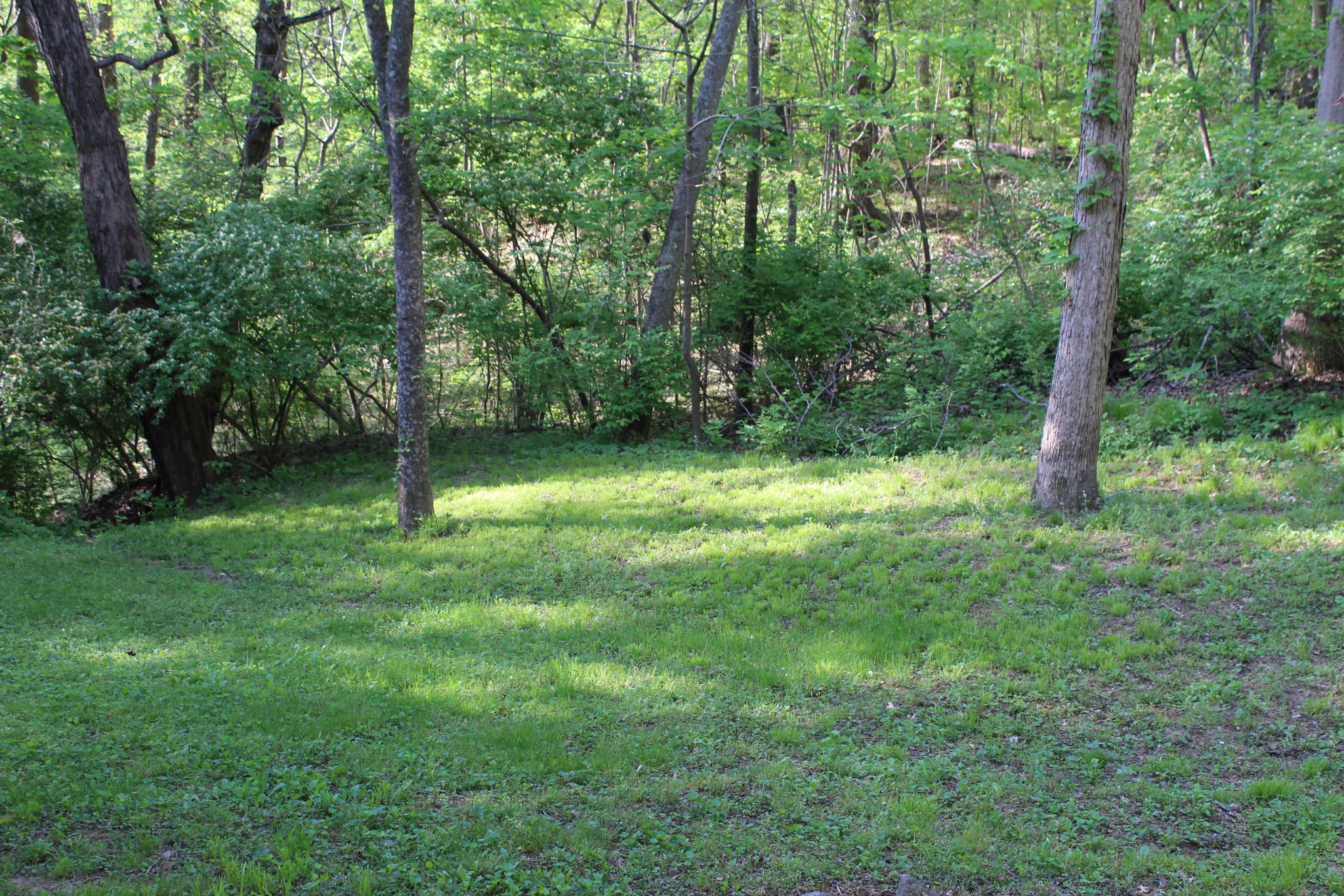 3804 Lakeridge Run Property Photo 36