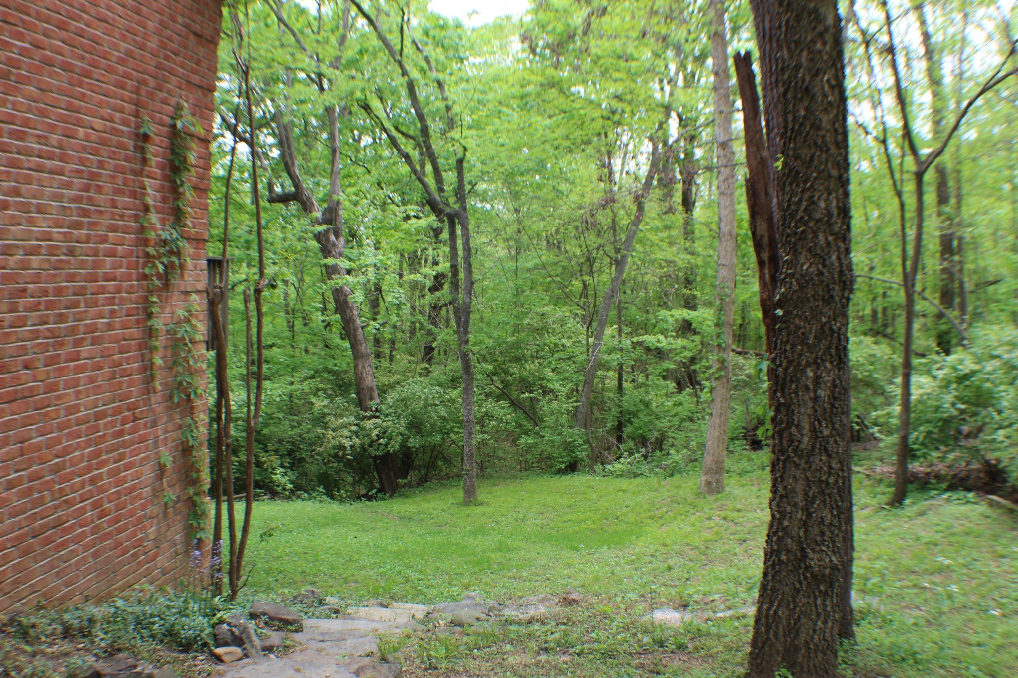 3804 Lakeridge Run Property Photo 37
