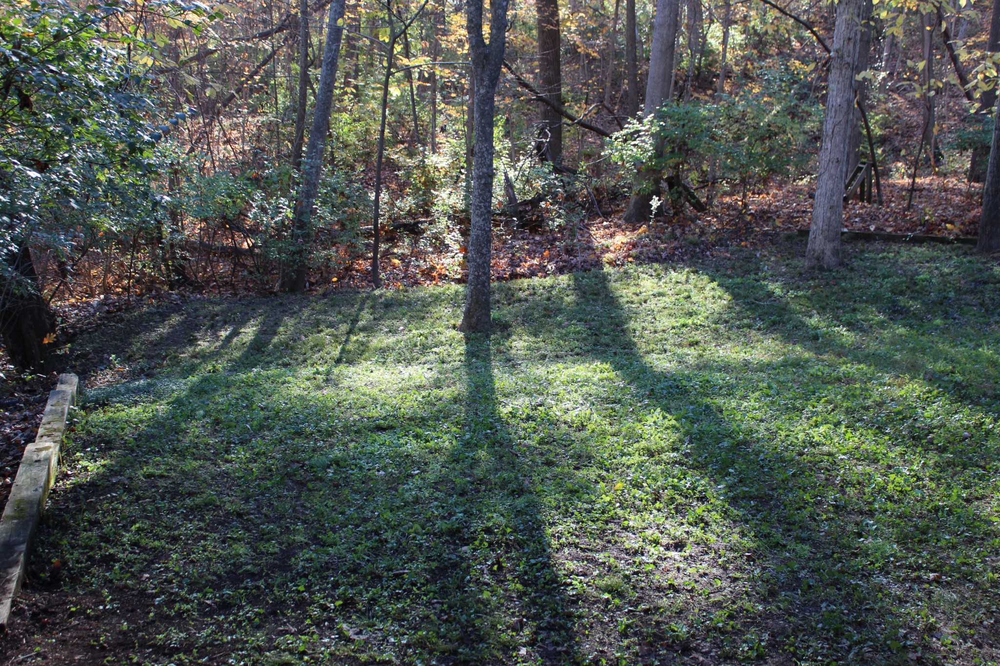3804 Lakeridge Run Property Photo 39
