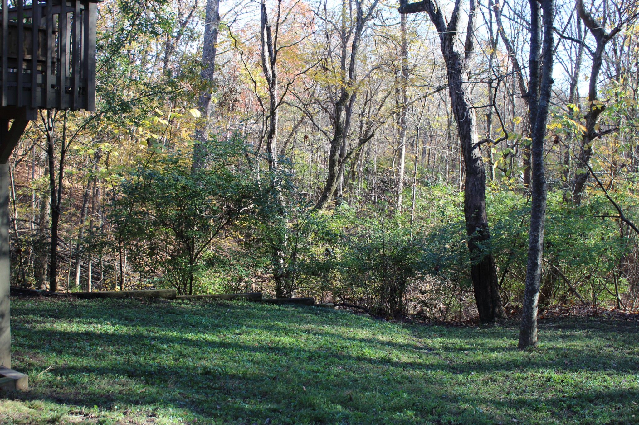3804 Lakeridge Run Property Photo 40