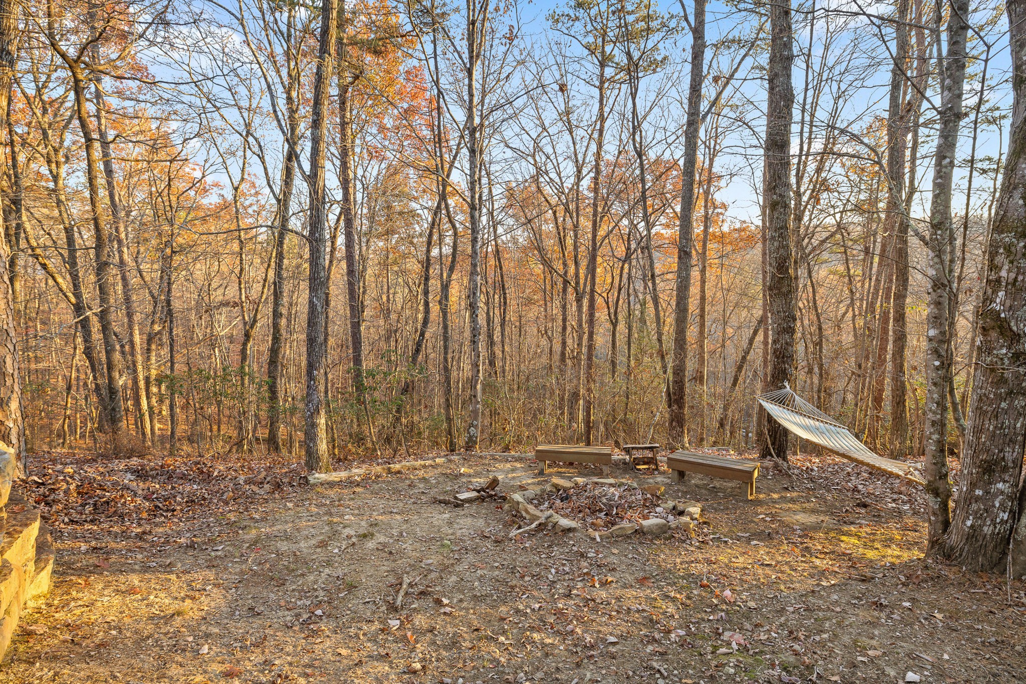 292 Log Cabin Lane Property Photo 59