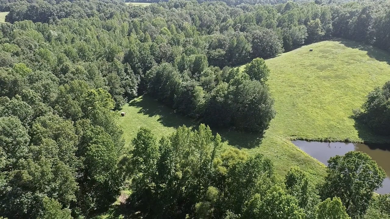 5128 Louise Rd Property Photo 1