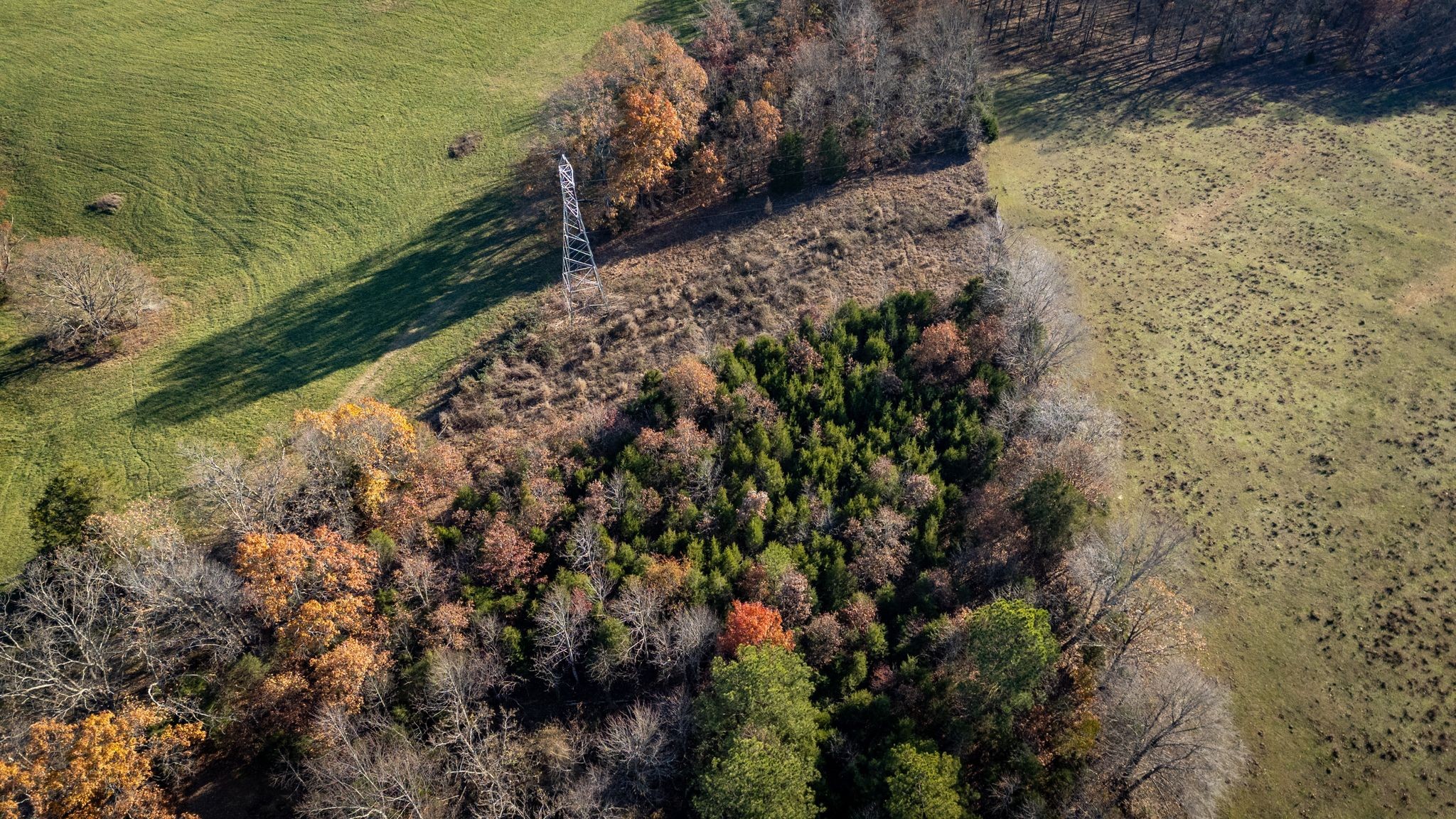 7592 Highway 100 Property Photo 59