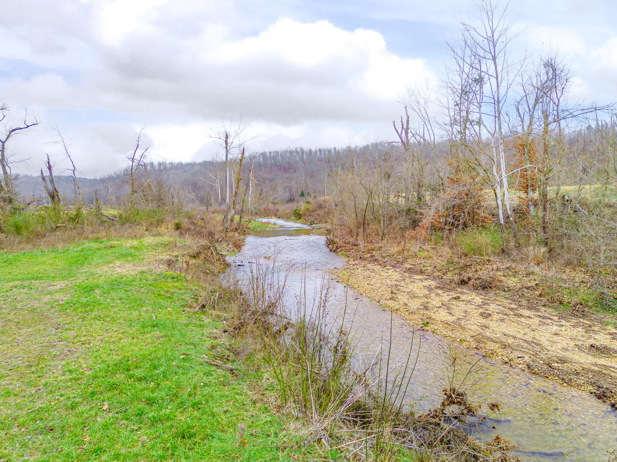 5731 Beech Creek Rd Property Photo 33