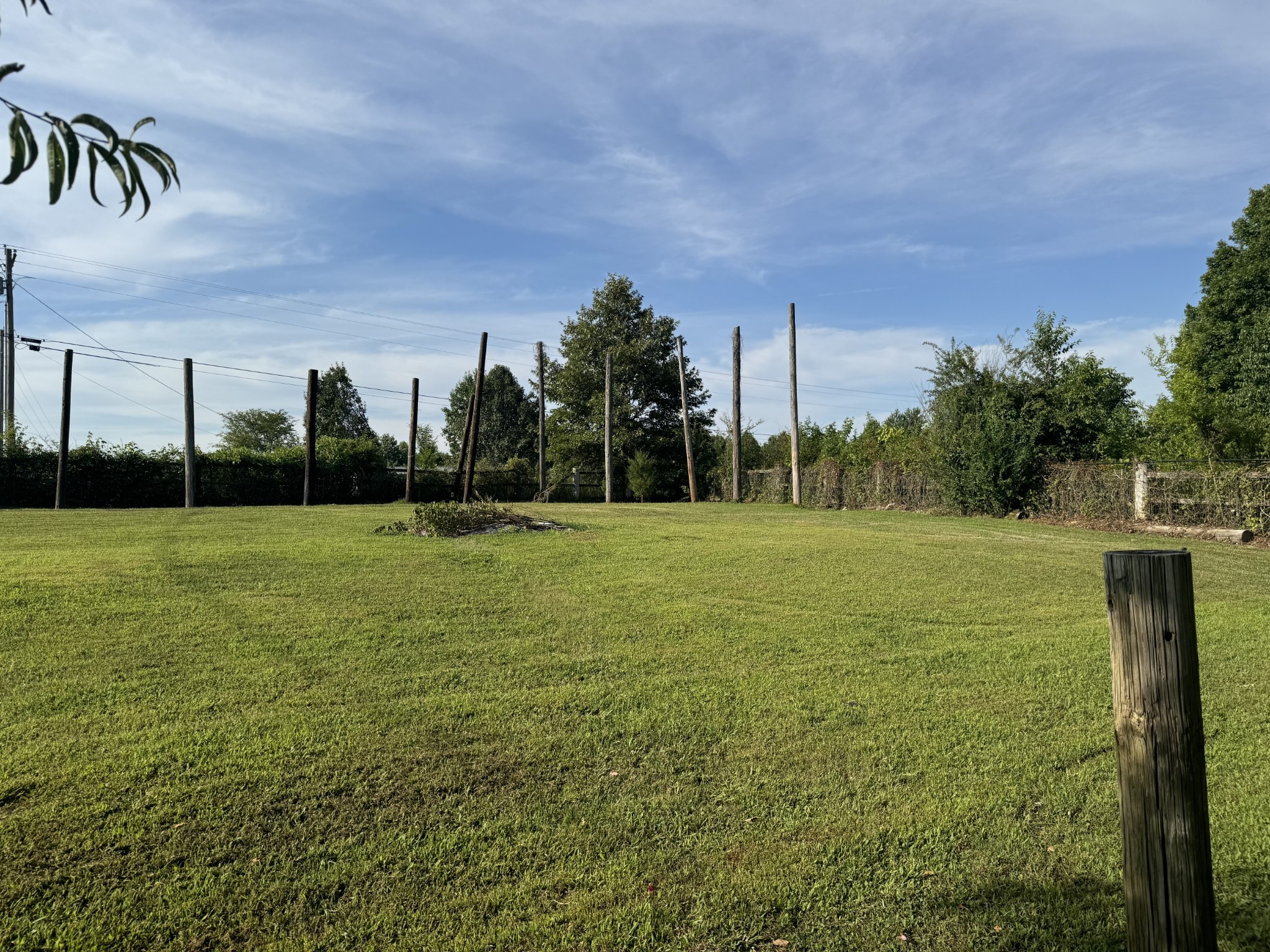 10795 Back Piney Rd Property Photo 18
