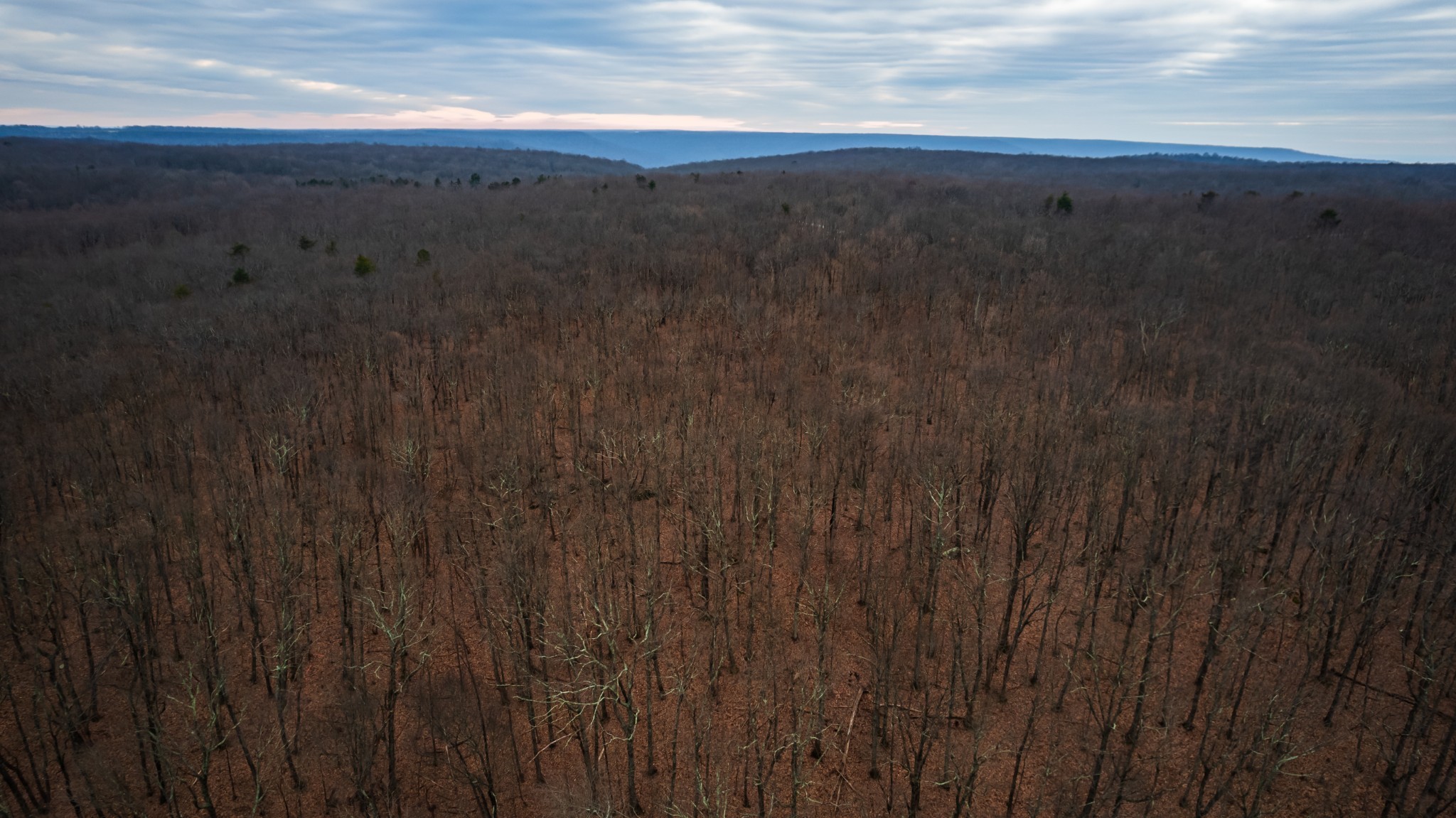 19 Higgenbotham Turnpike Property Photo 2