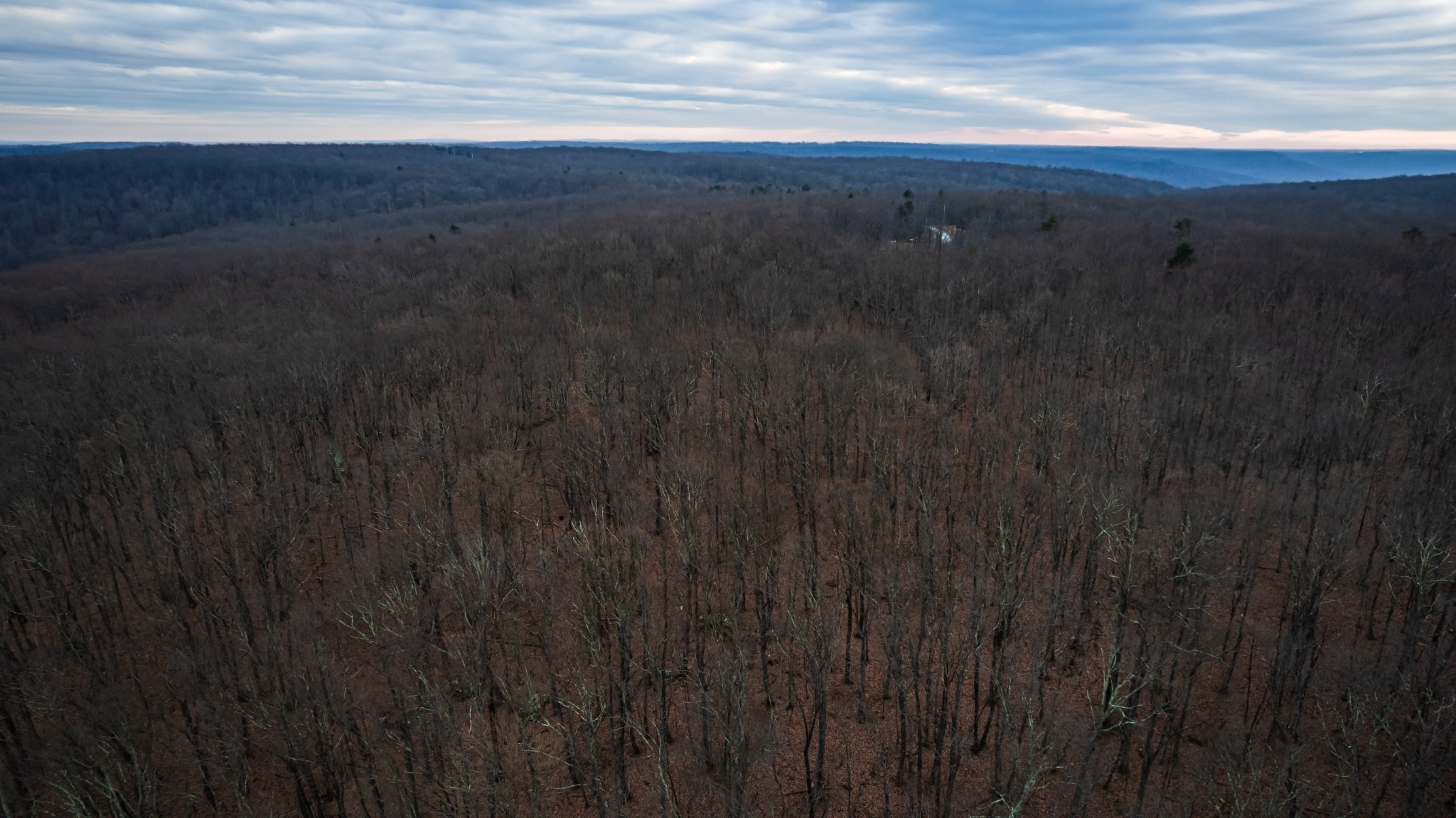 19 Higgenbotham Turnpike Property Photo 3