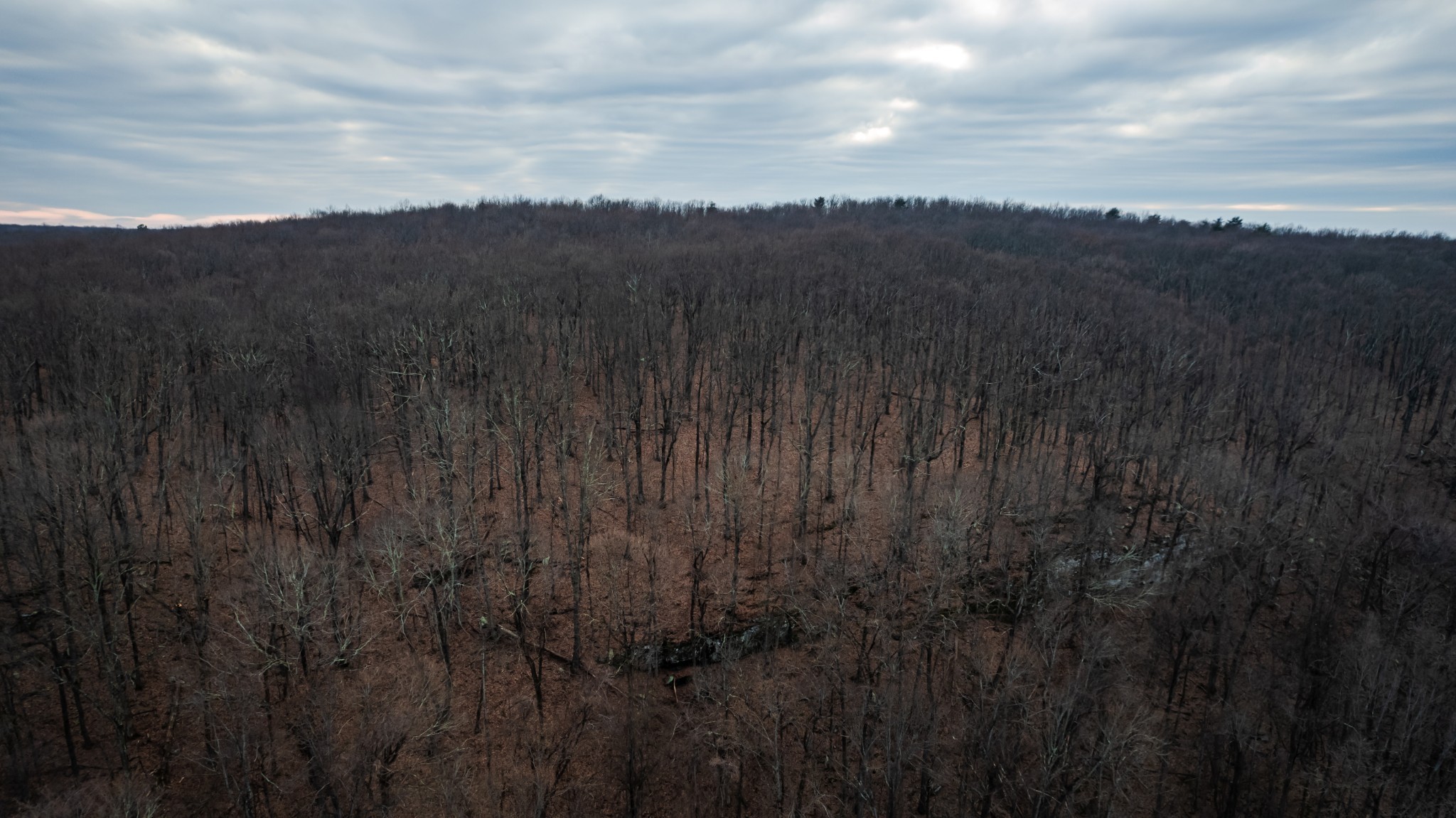 19 Higgenbotham Turnpike Property Photo 4