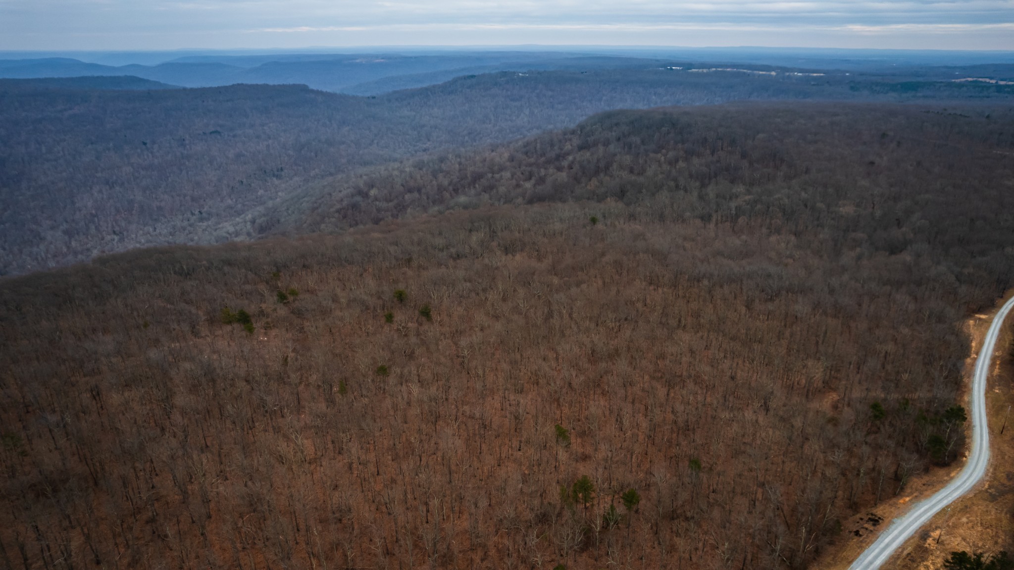 19 Higgenbotham Turnpike Property Photo 8