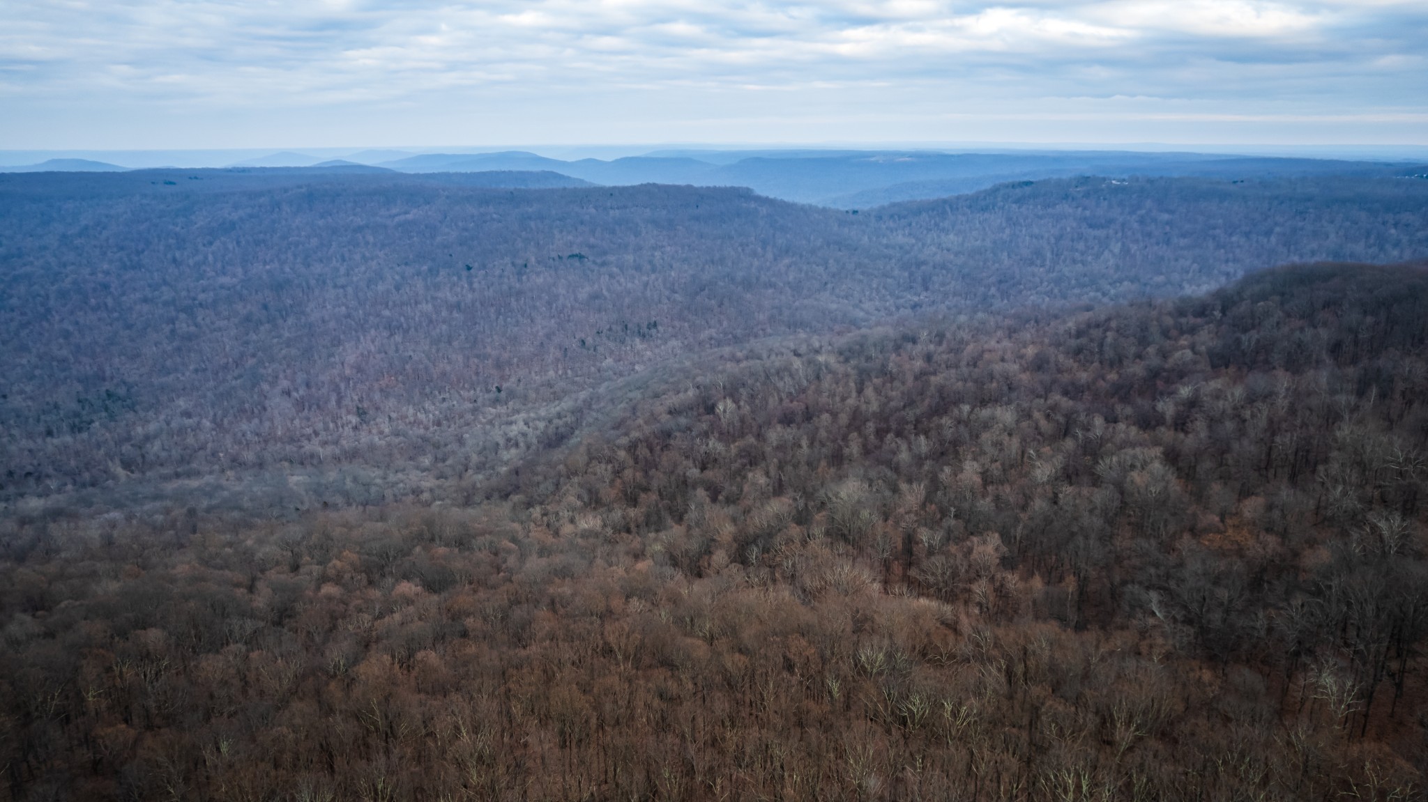 19 Higgenbotham Turnpike Property Photo 11