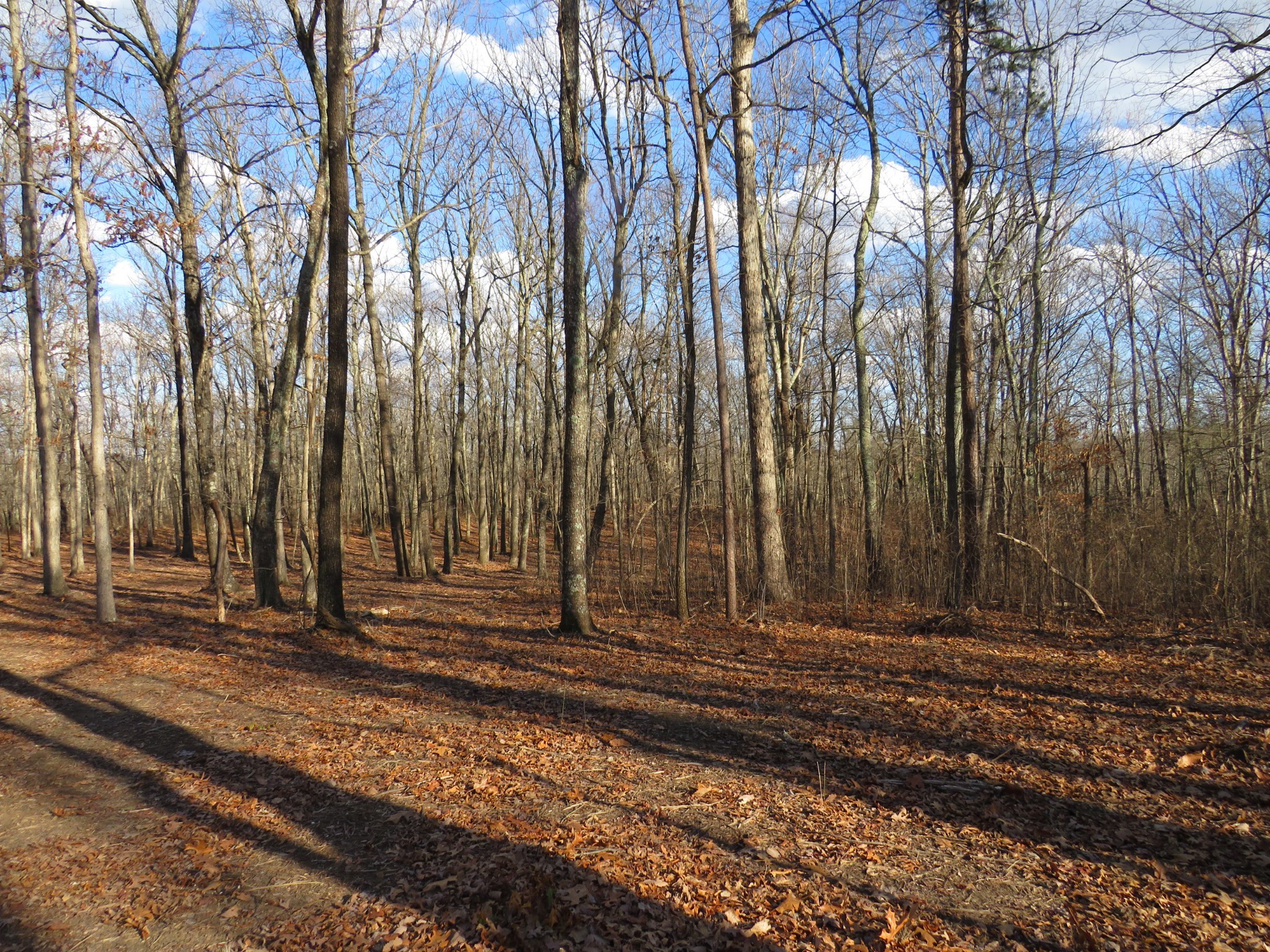 19 Higgenbotham Turnpike Property Photo 13