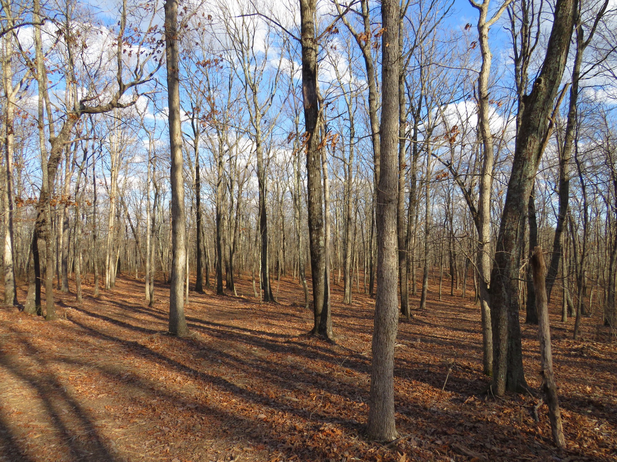 19 Higgenbotham Turnpike Property Photo 14