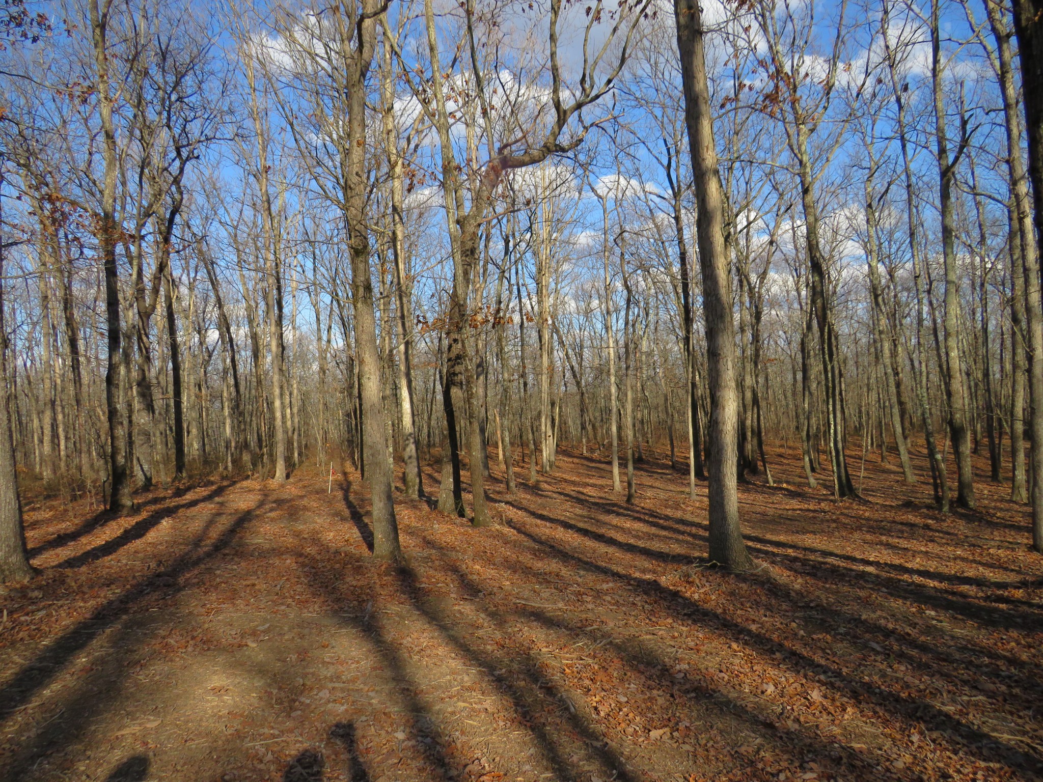 19 Higgenbotham Turnpike Property Photo 15