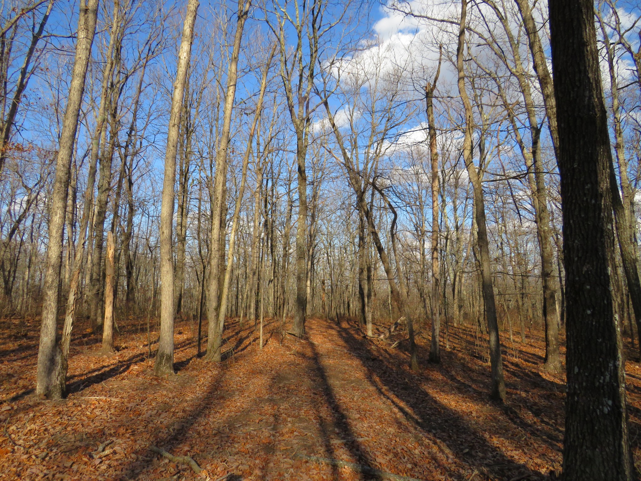 19 Higgenbotham Turnpike Property Photo 17