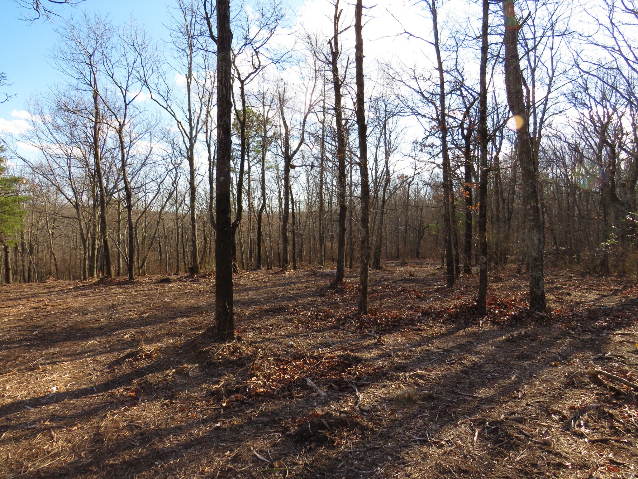 19 Higgenbotham Turnpike Property Photo 18