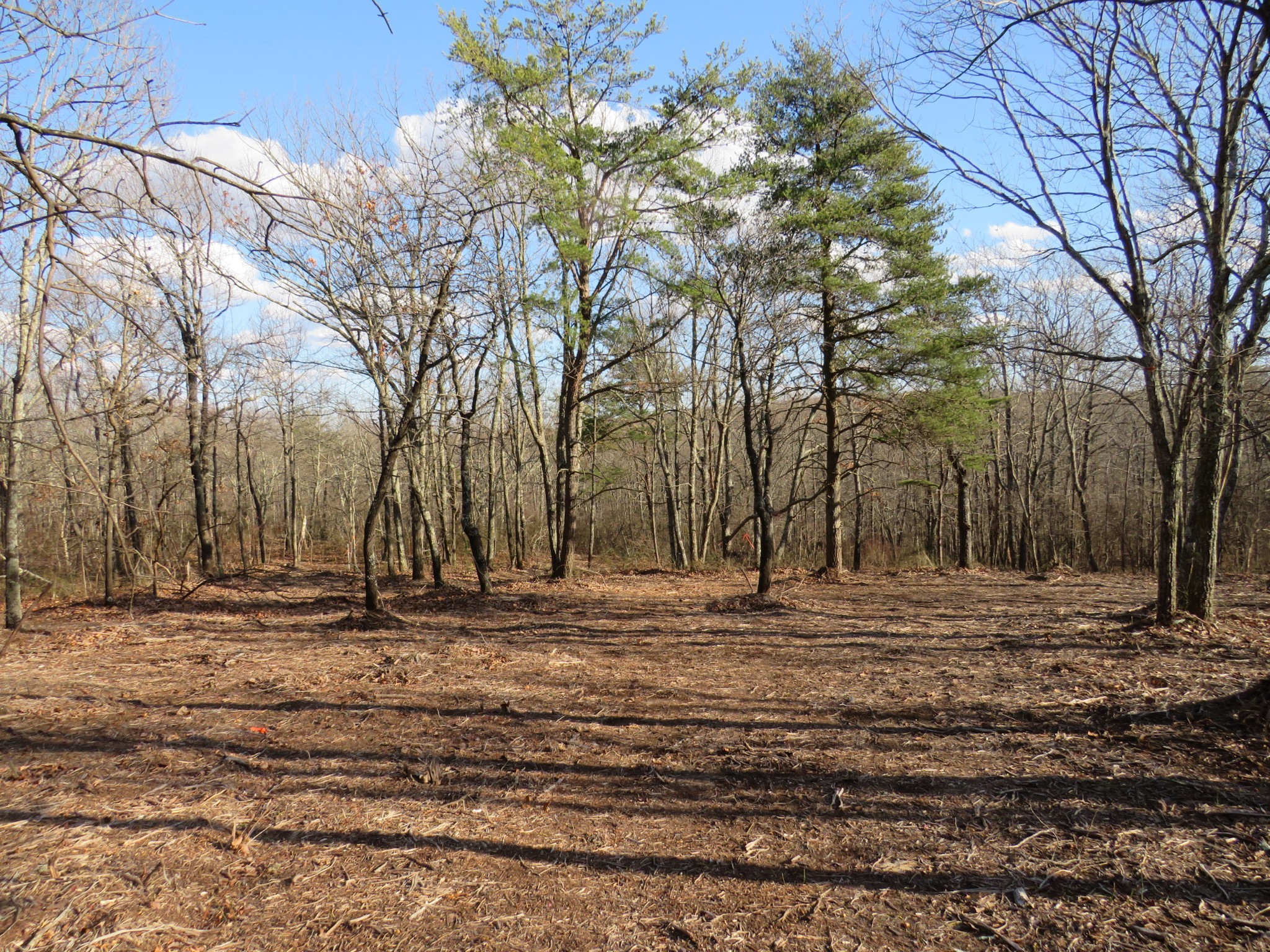 19 Higgenbotham Turnpike Property Photo 19