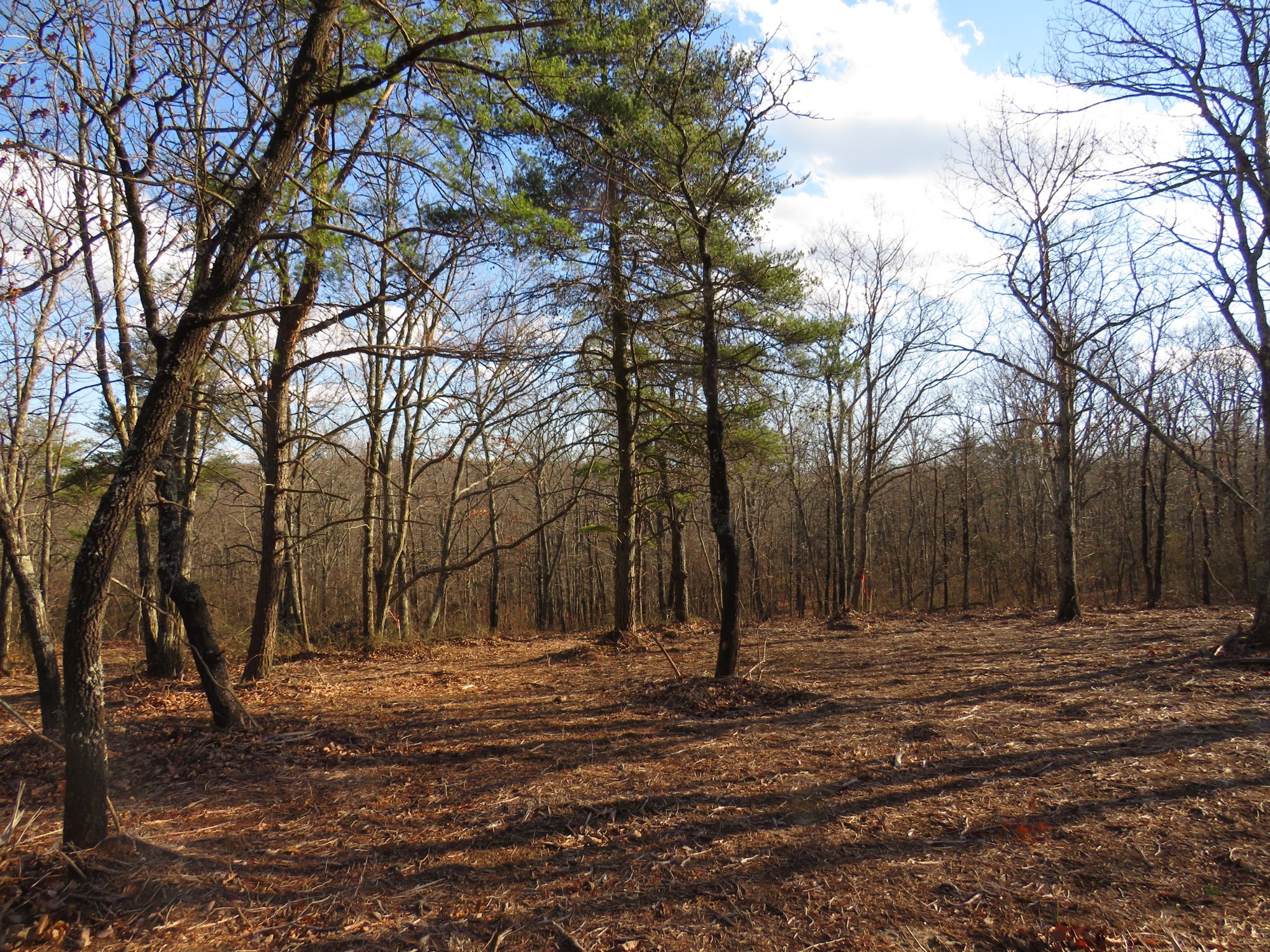 19 Higgenbotham Turnpike Property Photo 20