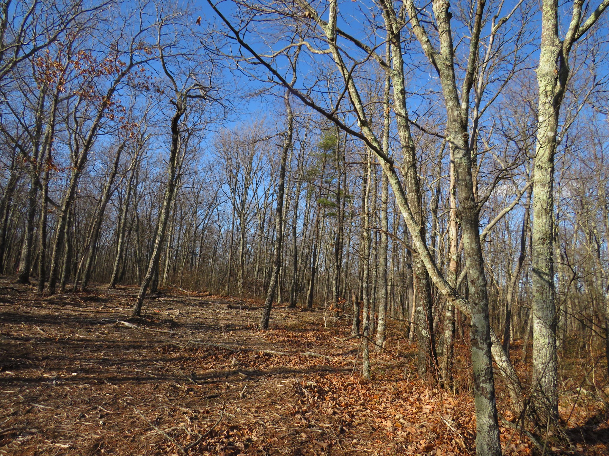 19 Higgenbotham Turnpike Property Photo 21