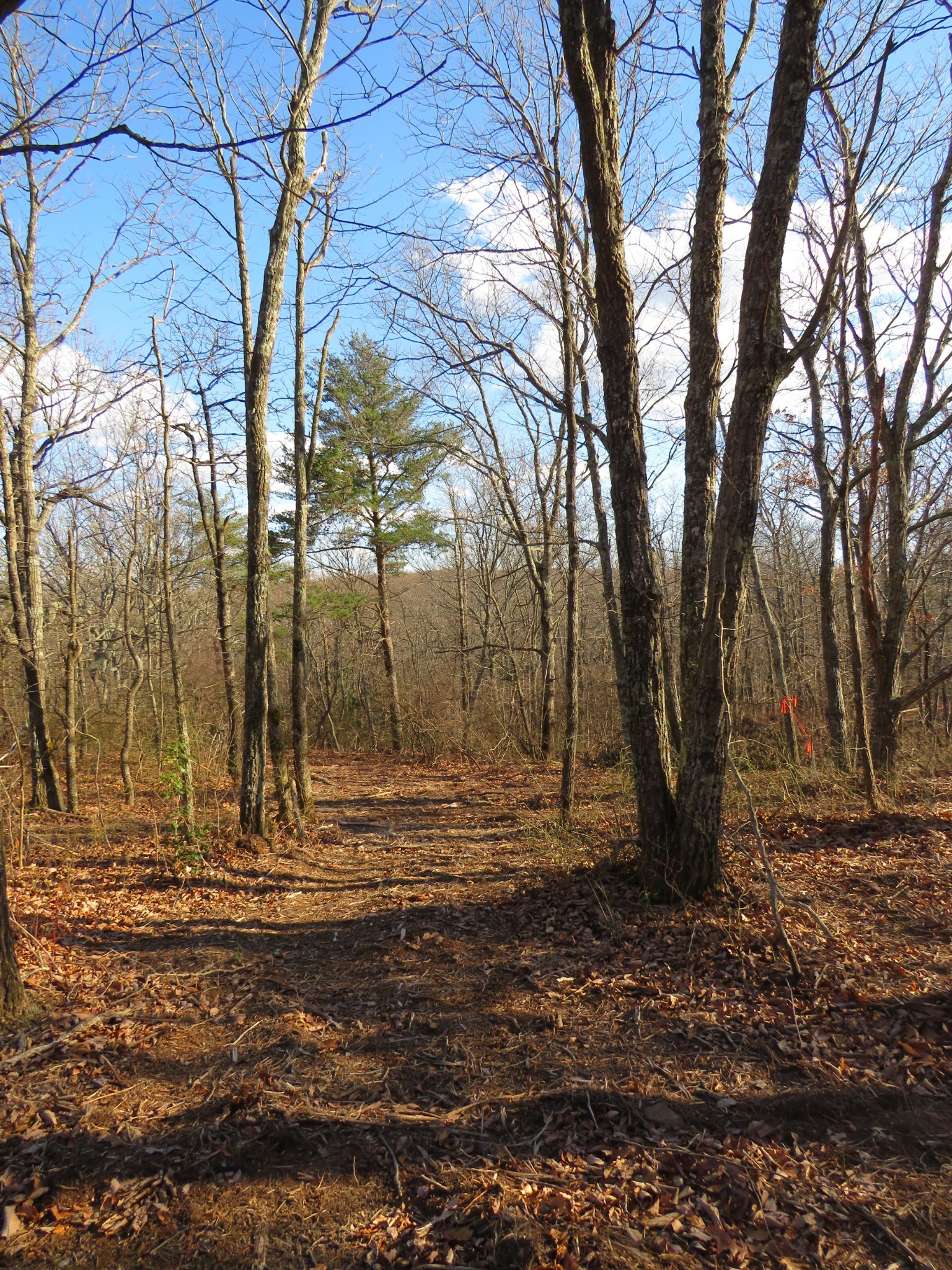 19 Higgenbotham Turnpike Property Photo 22