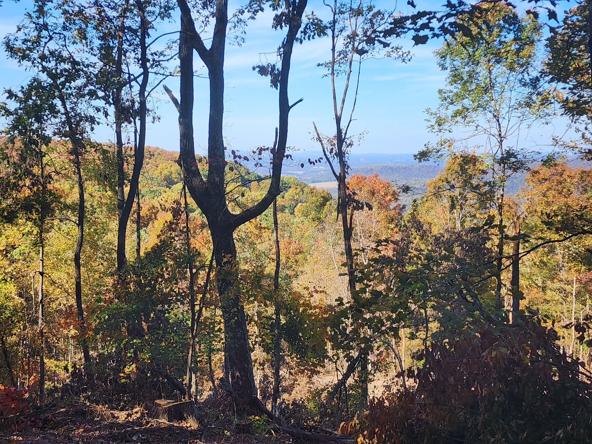 19 Higgenbotham Turnpike Property Photo 23