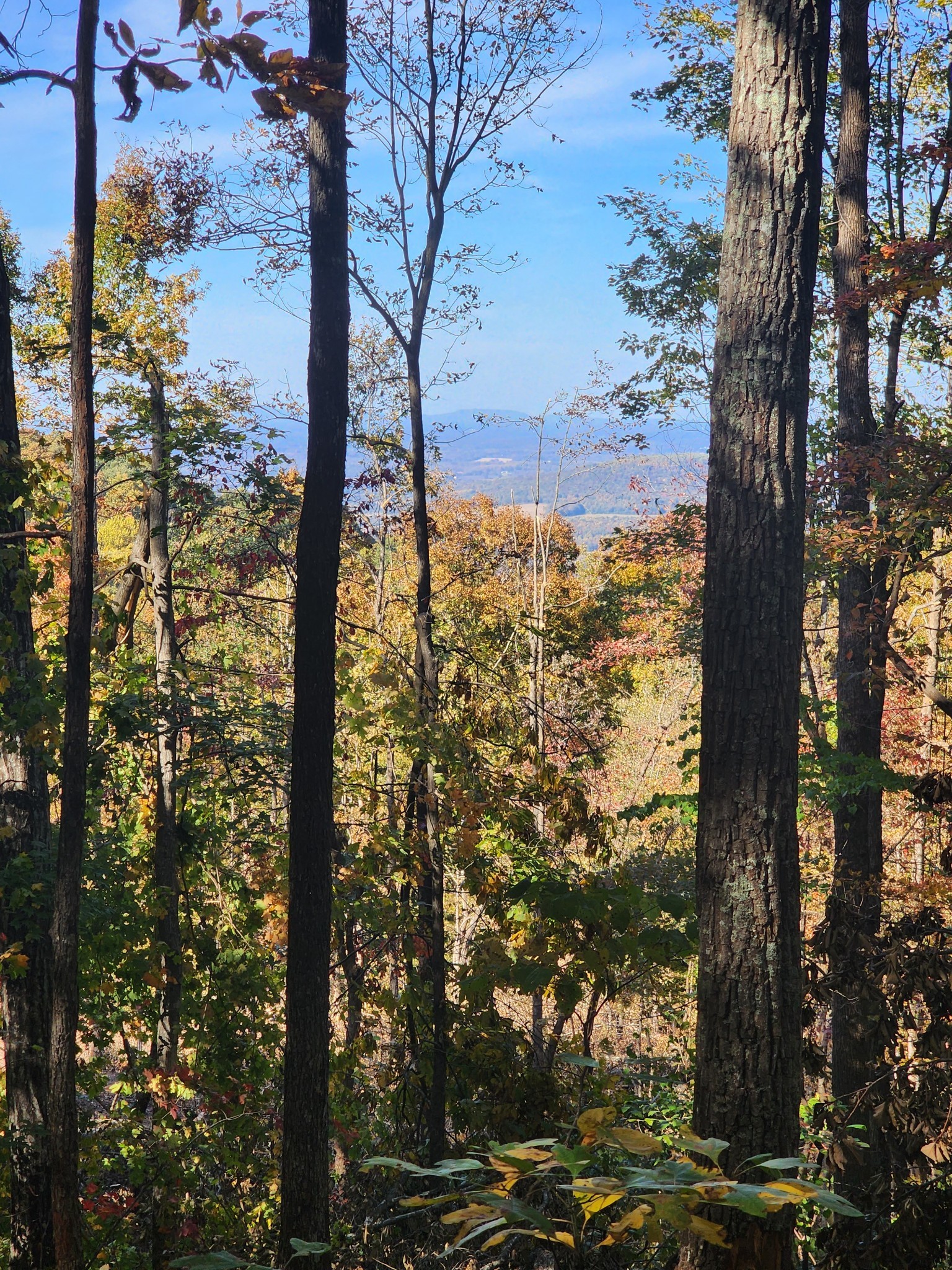 19 Higgenbotham Turnpike Property Photo 25