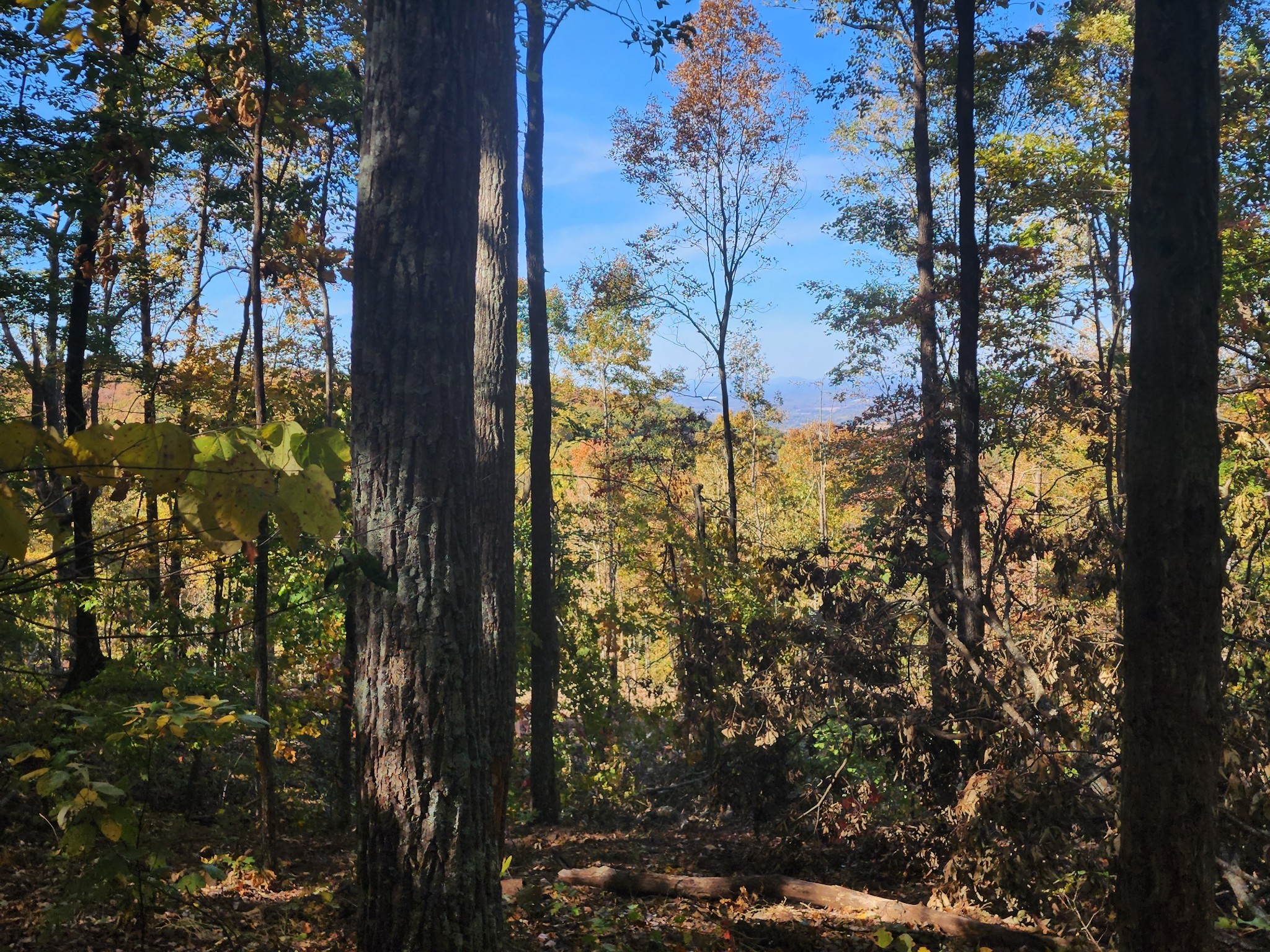 19 Higgenbotham Turnpike Property Photo 26