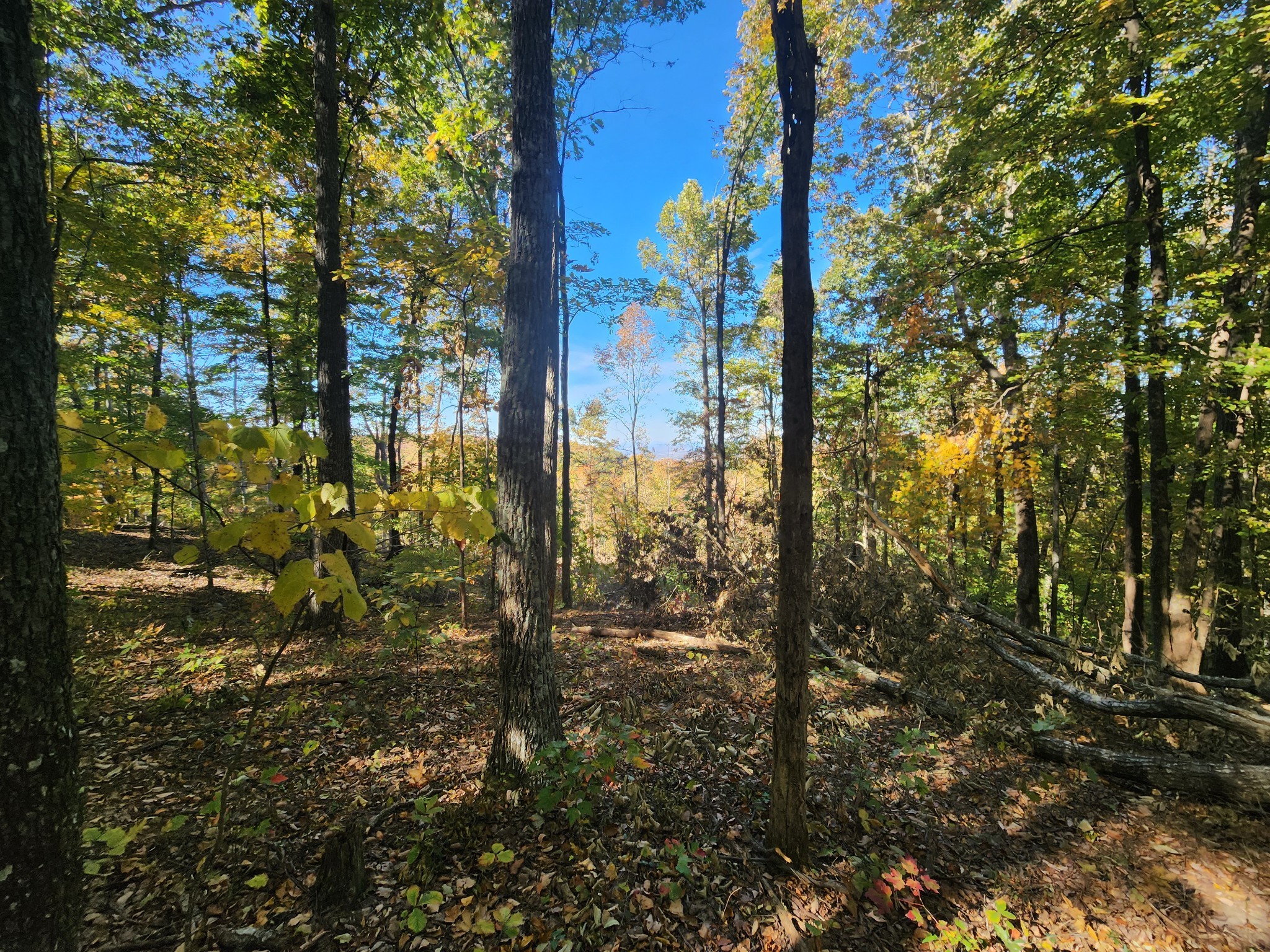 19 Higgenbotham Turnpike Property Photo 27