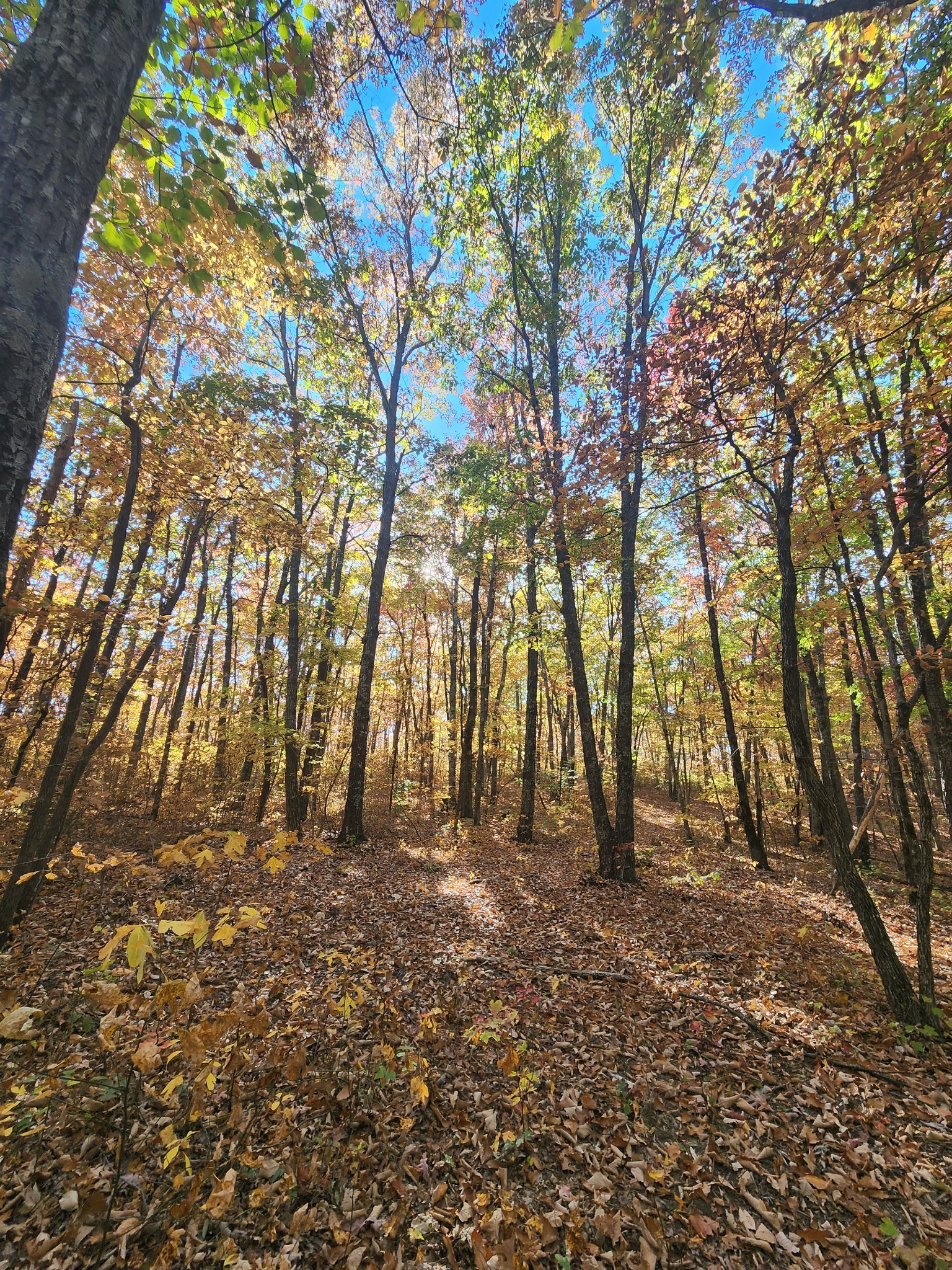 19 Higgenbotham Turnpike Property Photo 36