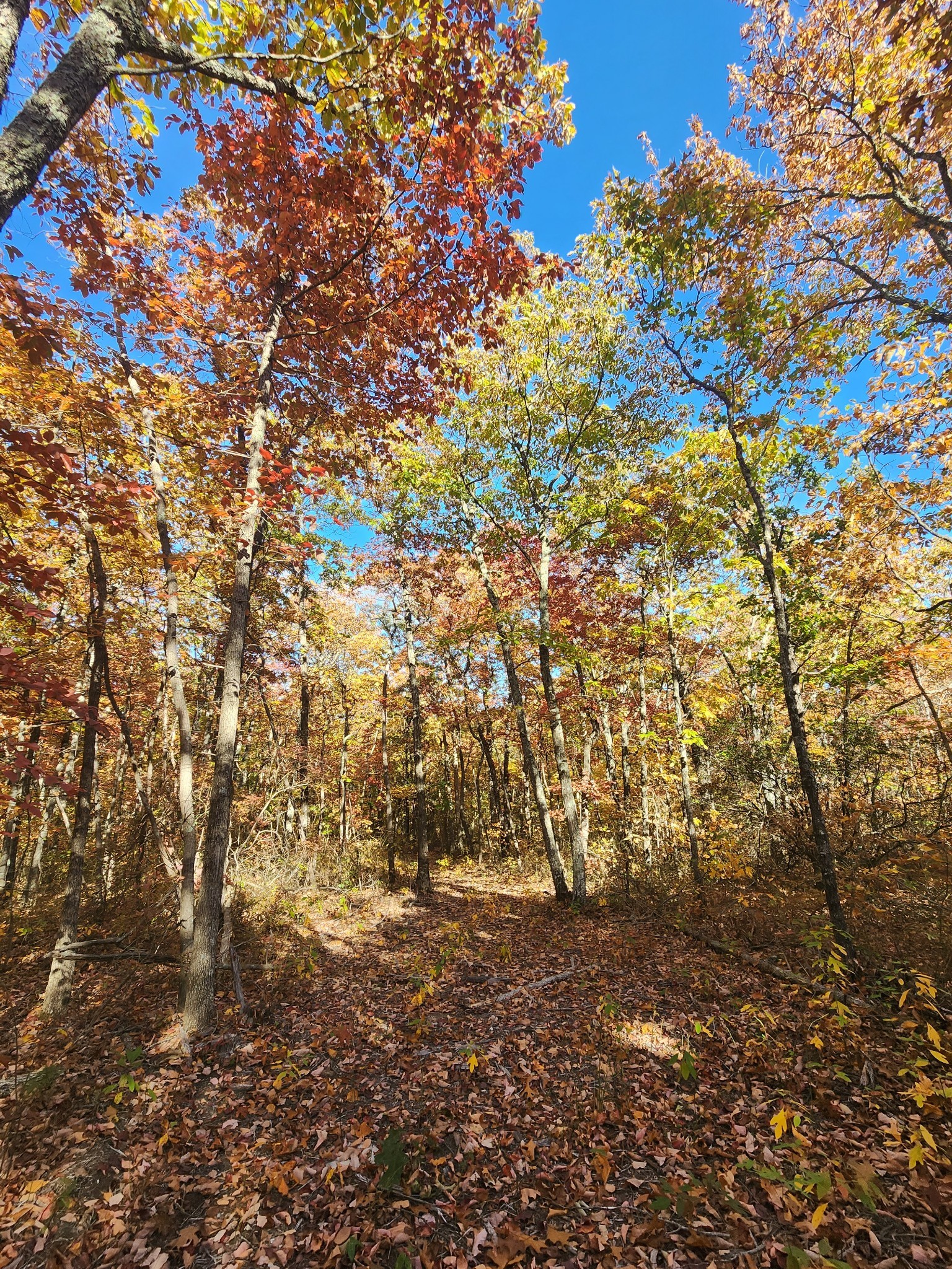 19 Higgenbotham Turnpike Property Photo 39