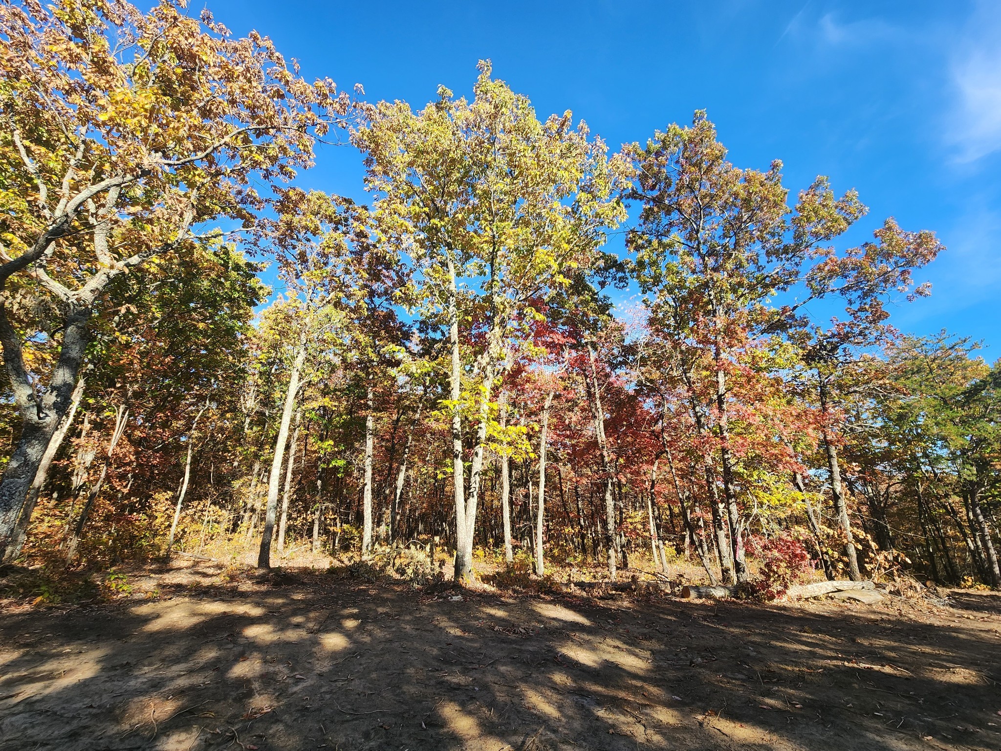 19 Higgenbotham Turnpike Property Photo 41