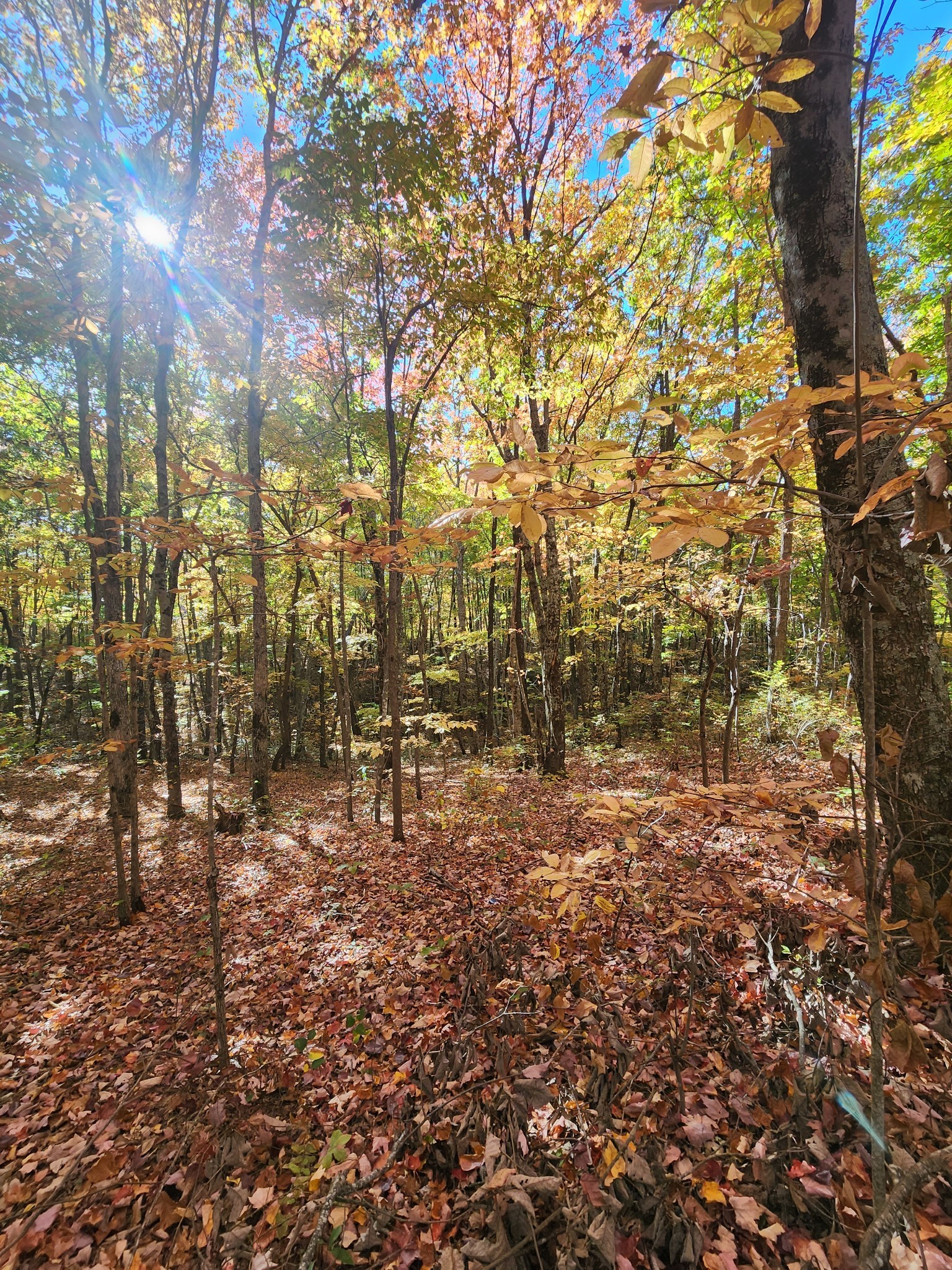 19 Higgenbotham Turnpike Property Photo 43