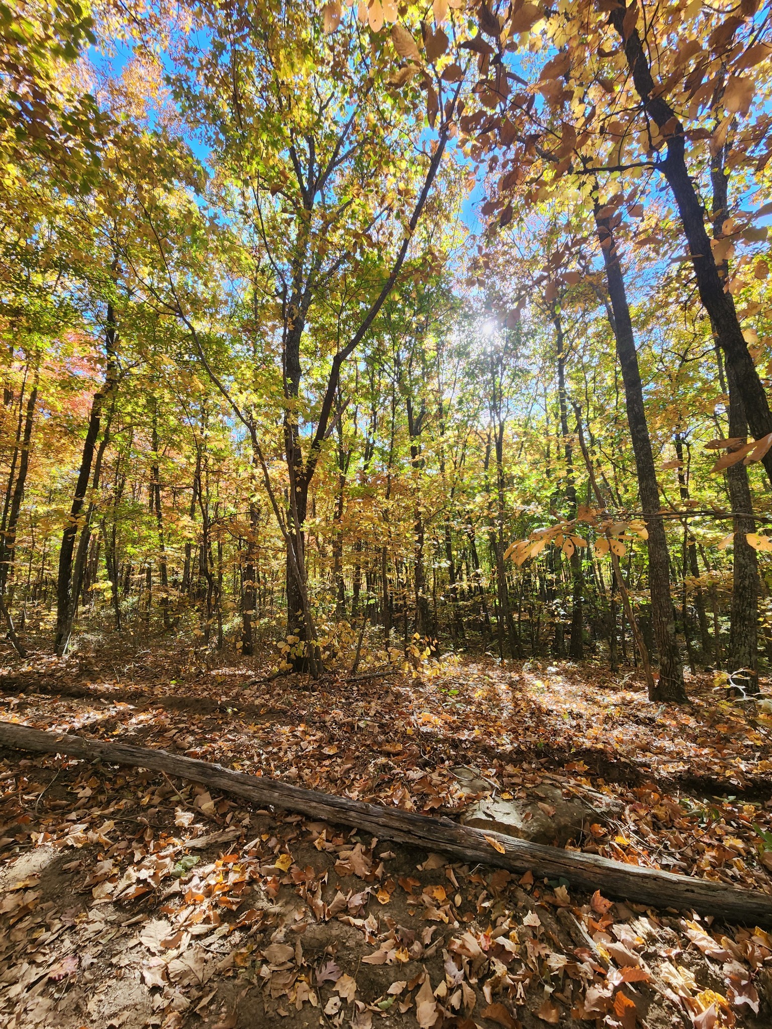 19 Higgenbotham Turnpike Property Photo 45