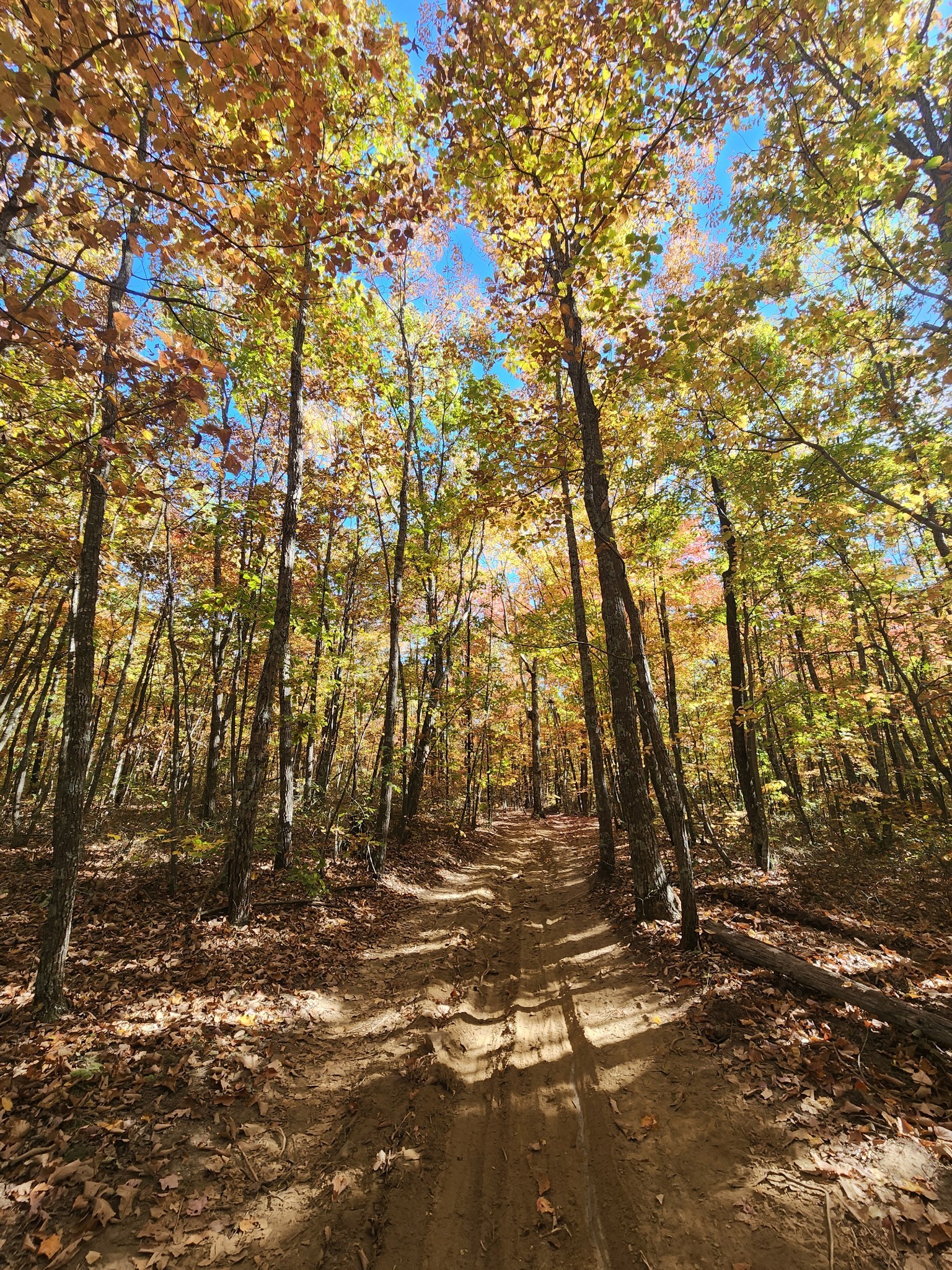 19 Higgenbotham Turnpike Property Photo 46