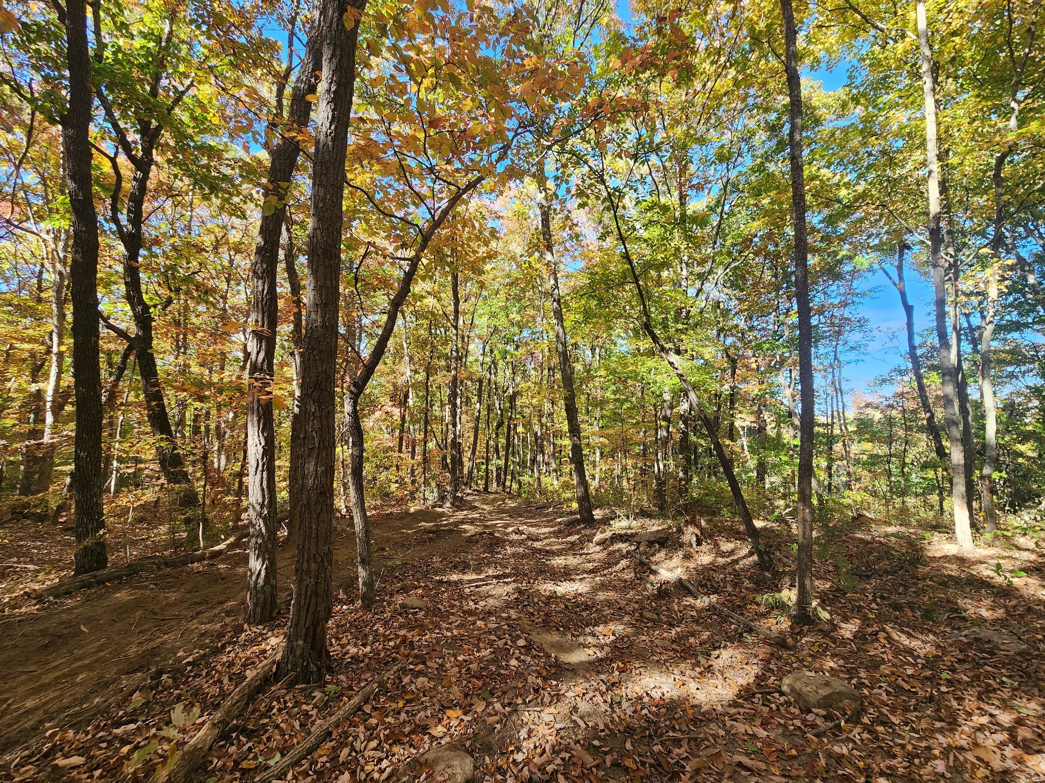 19 Higgenbotham Turnpike Property Photo 47