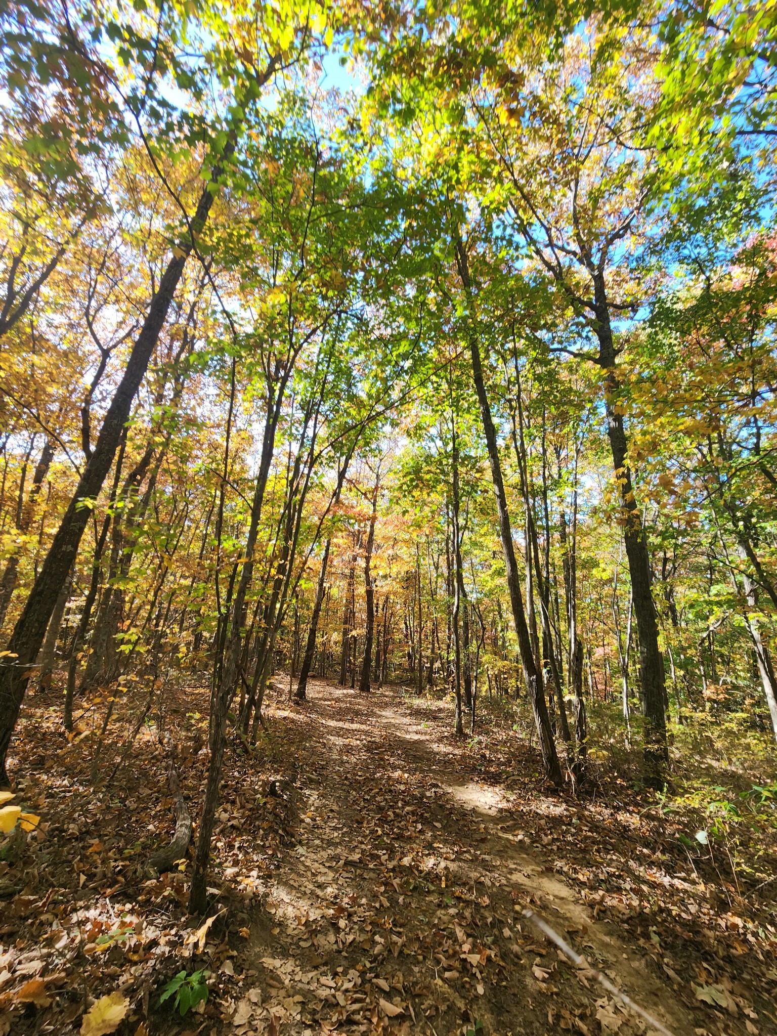 19 Higgenbotham Turnpike Property Photo 48