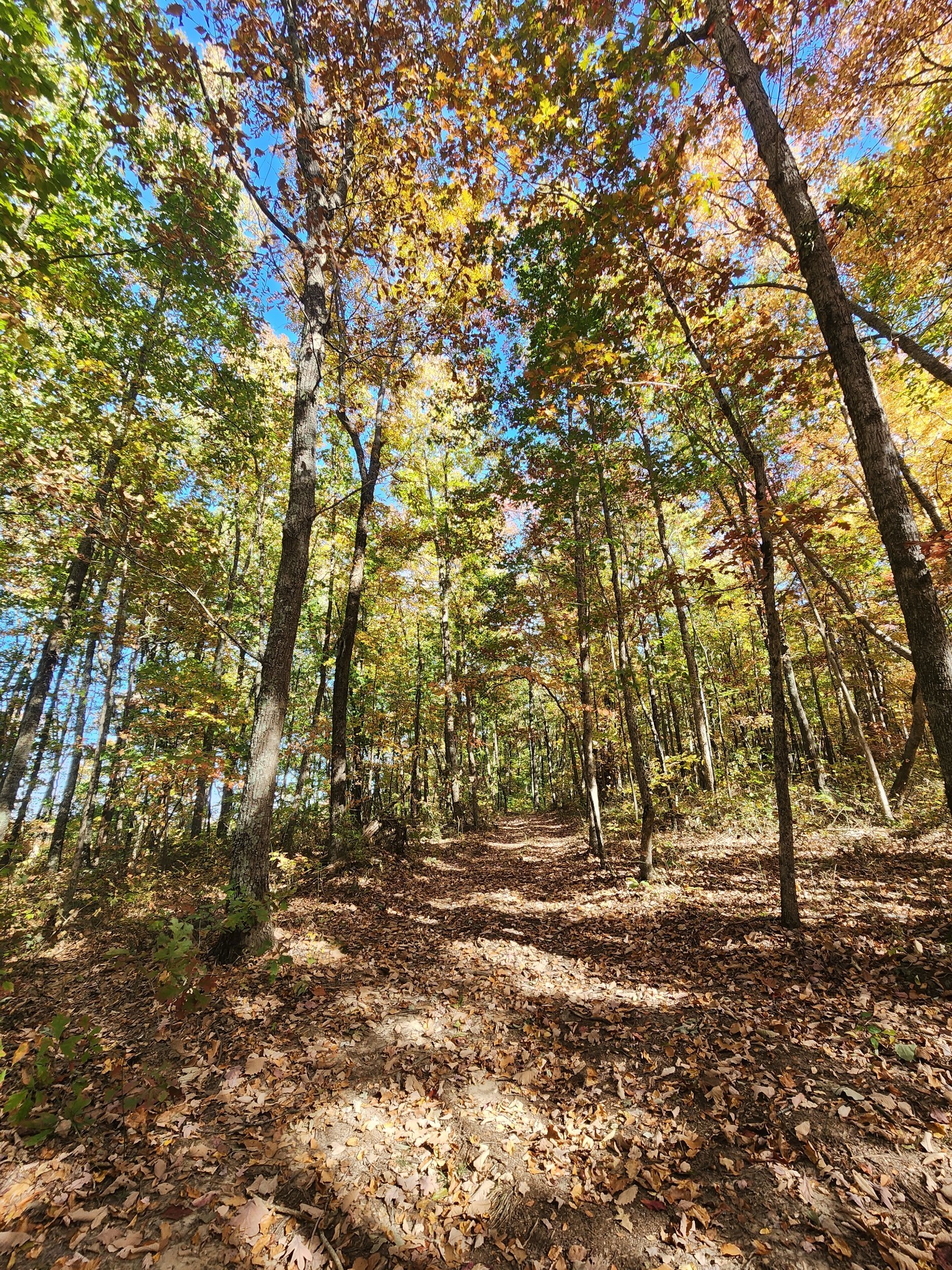 19 Higgenbotham Turnpike Property Photo 49
