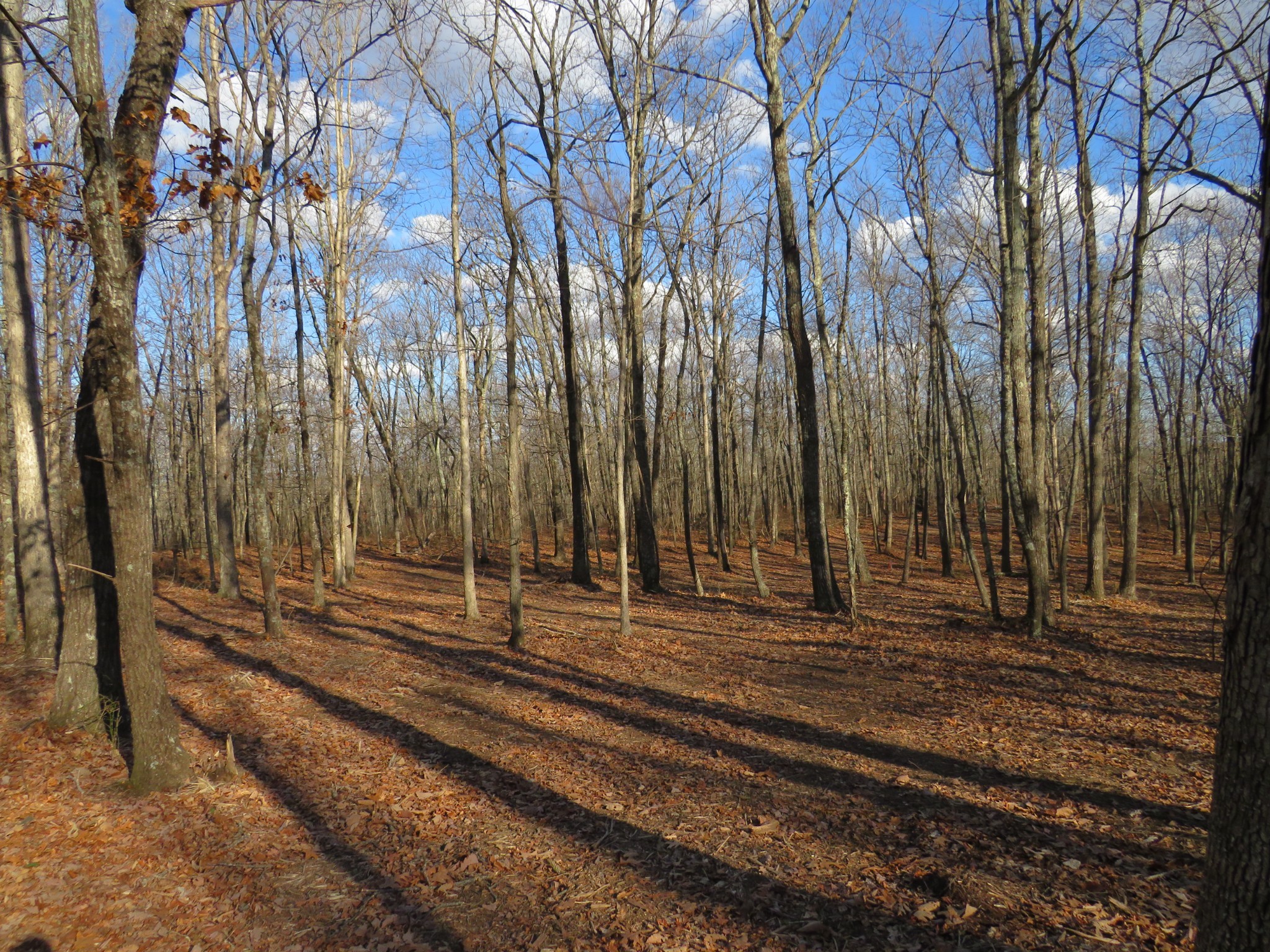 13 Higgenbotham Turkpike Property Photo 16
