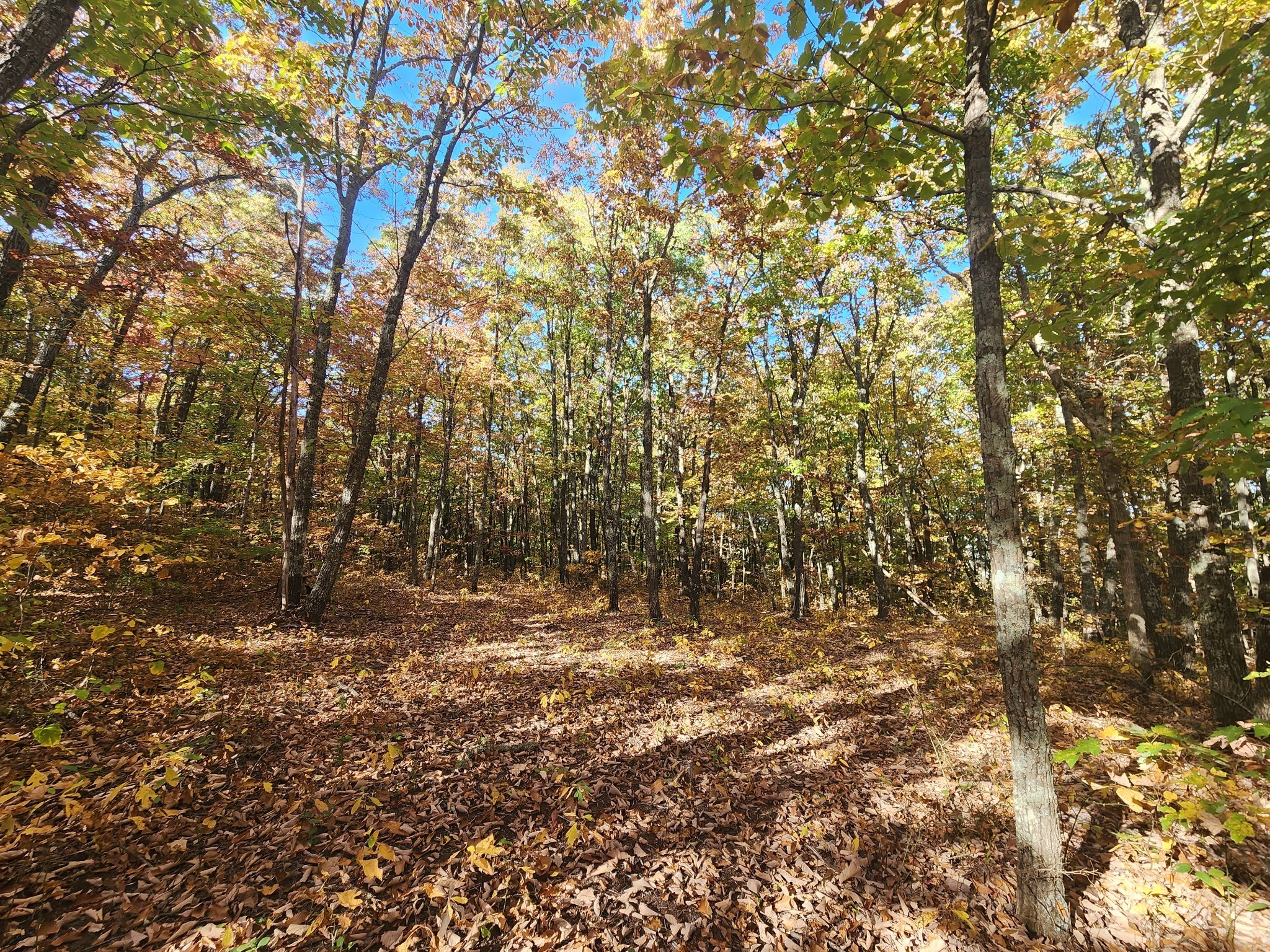 13 Higgenbotham Turkpike Property Photo 41