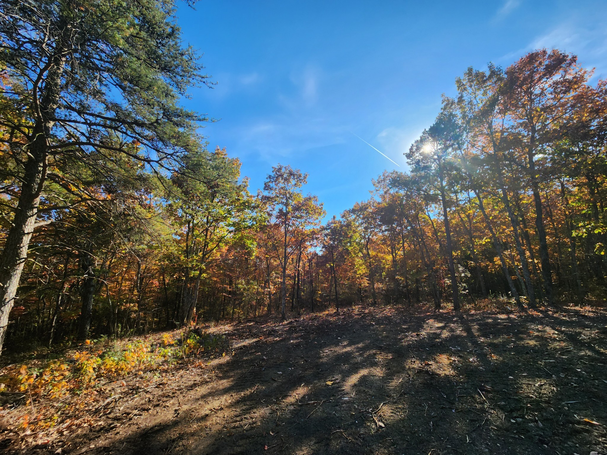 13 Higgenbotham Turkpike Property Photo 43