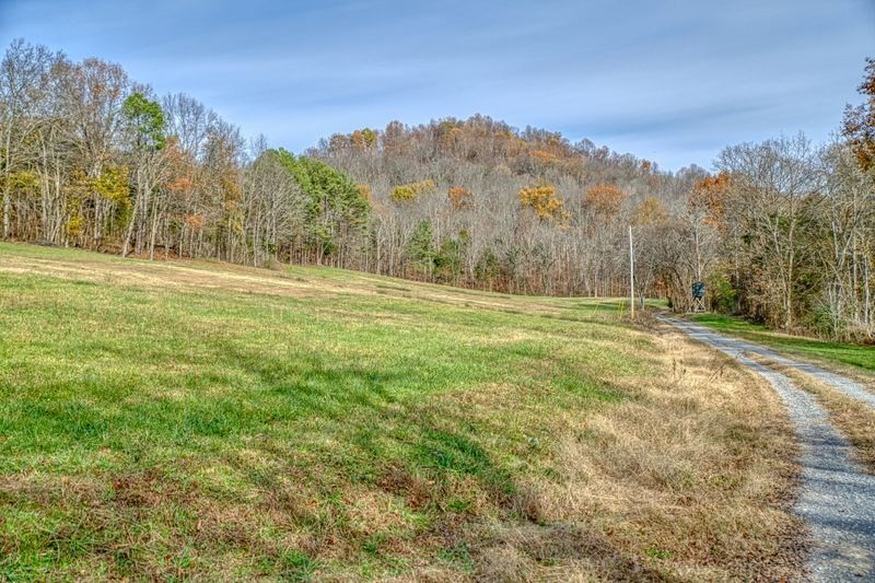 390 Taylor Hollow Ln Property Photo 4