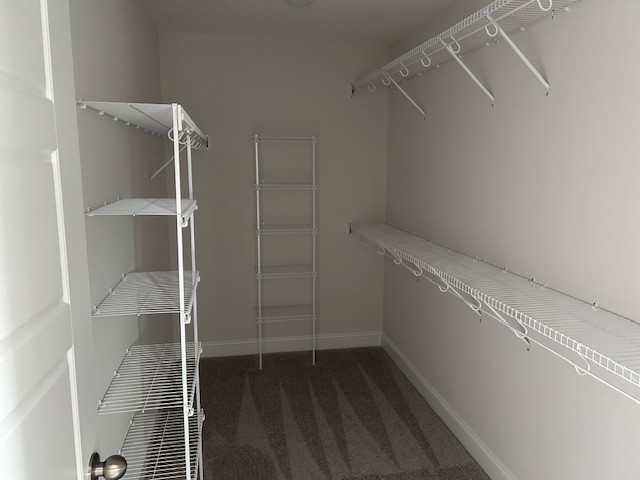 798 Emma Dean Dr Property Photo 17