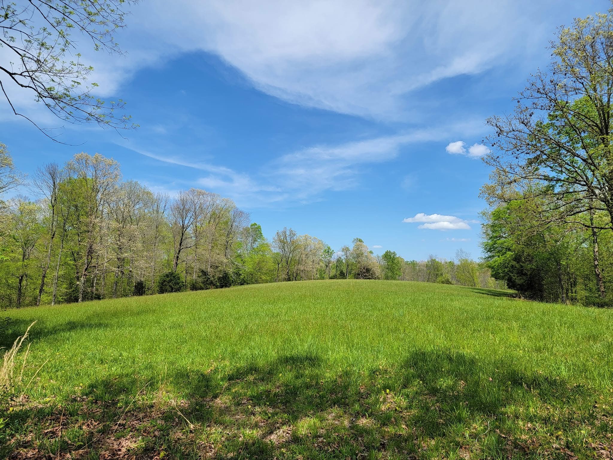 0 Herman Adams Rd Property Photo 1