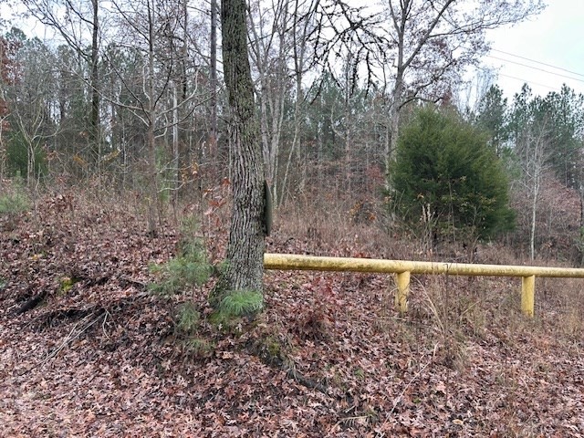 0 Sawyers Mill Rd Property Photo 2