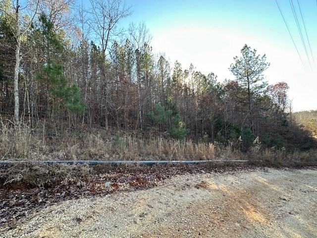 0 Sawyers Mill Rd Property Photo 4