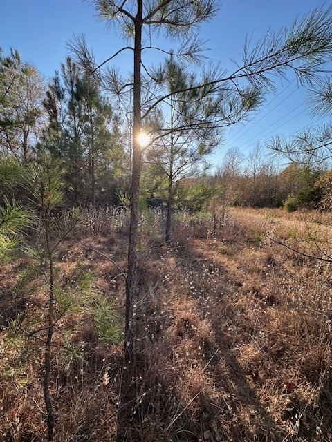 0 Sawyers Mill Rd Property Photo 15
