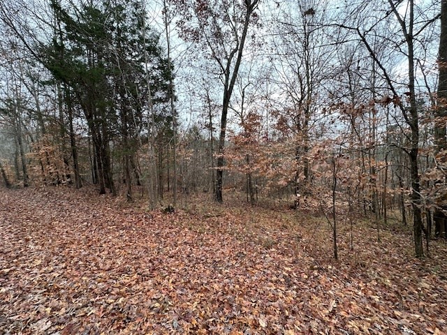 0 Sawyers Mill Rd Property Photo 35