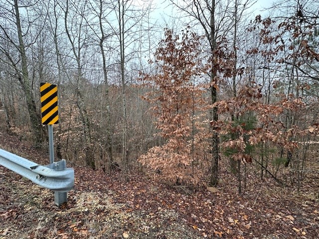 0 Sawyers Mill Rd Property Photo 41
