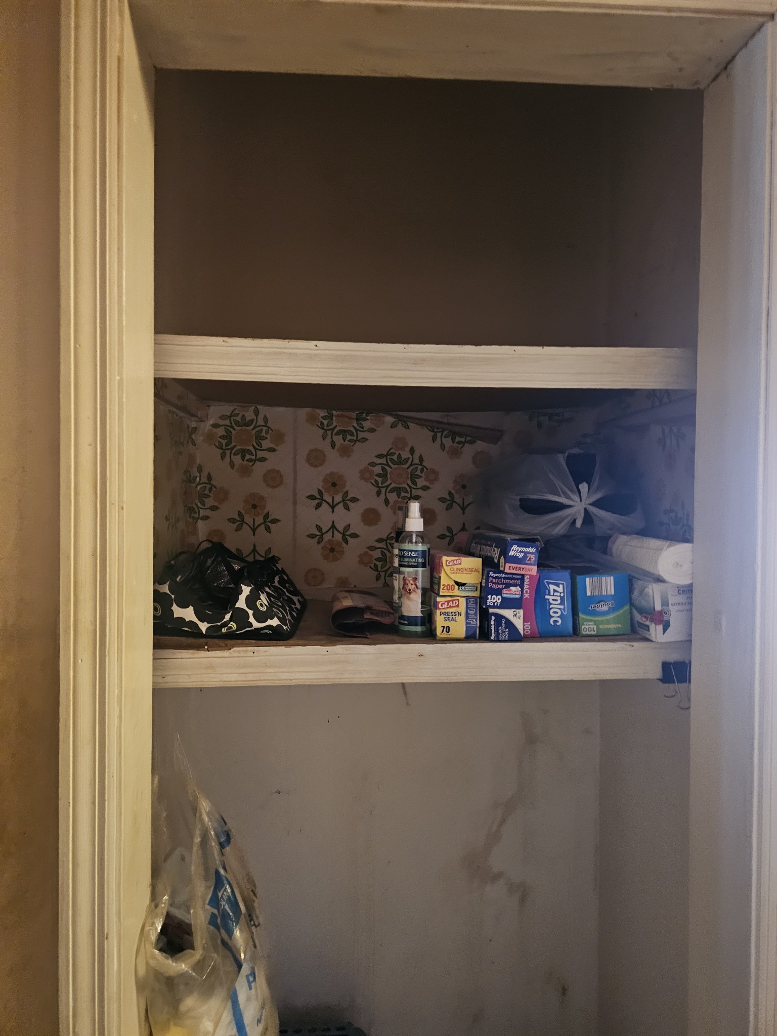 1401 Barberry Pl Property Photo 5