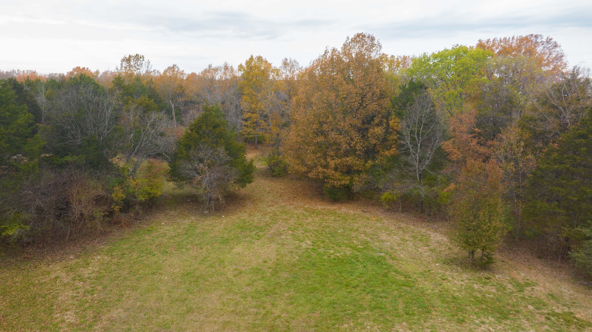 888 Baker Rd Property Photo 64